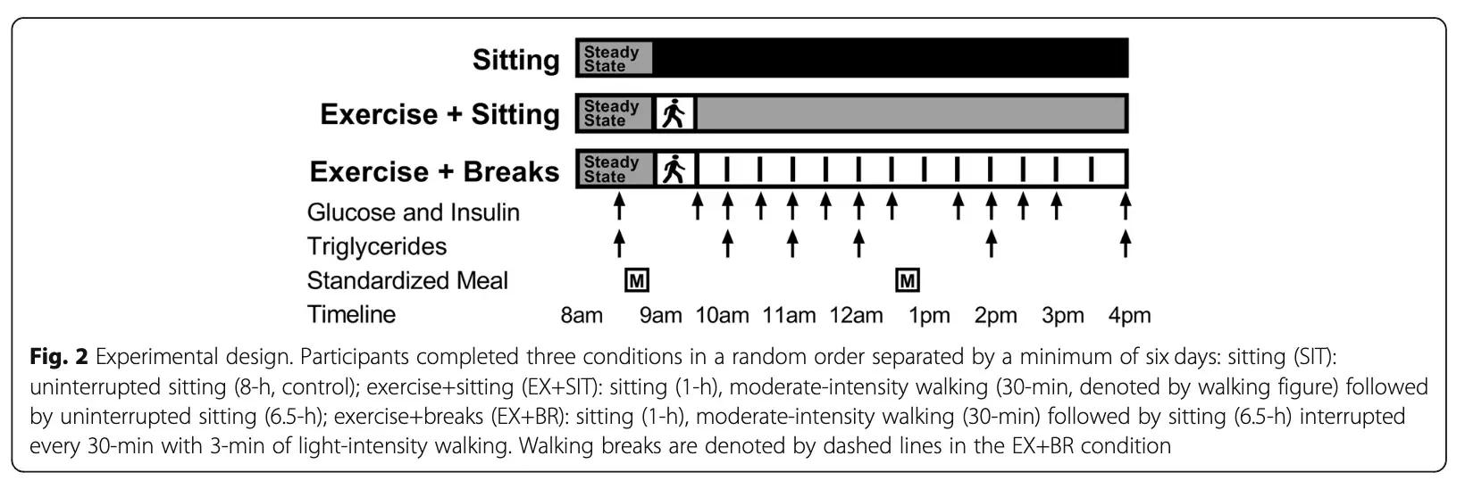 Movement breaks vs. exercise