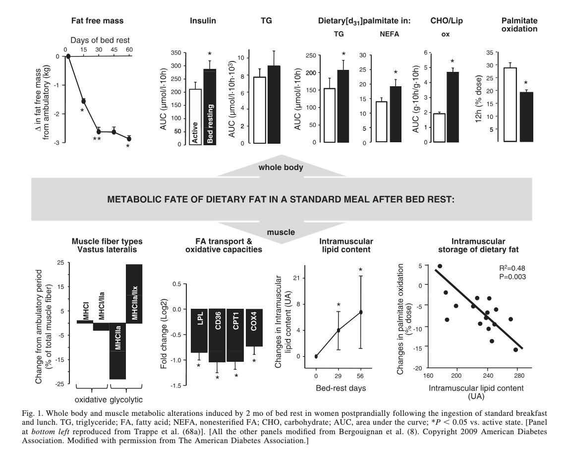 The four pillars of metabolic failure