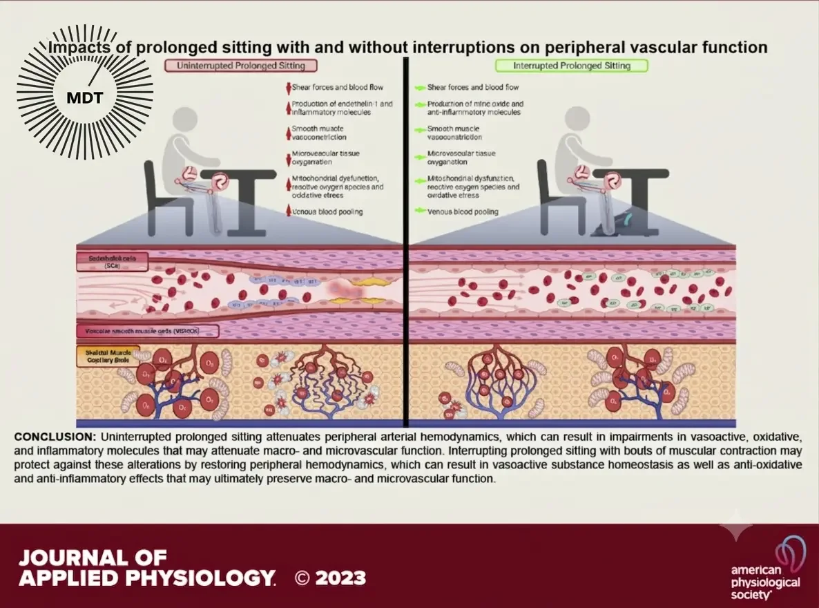 Why long sitting blocks matter for circulation