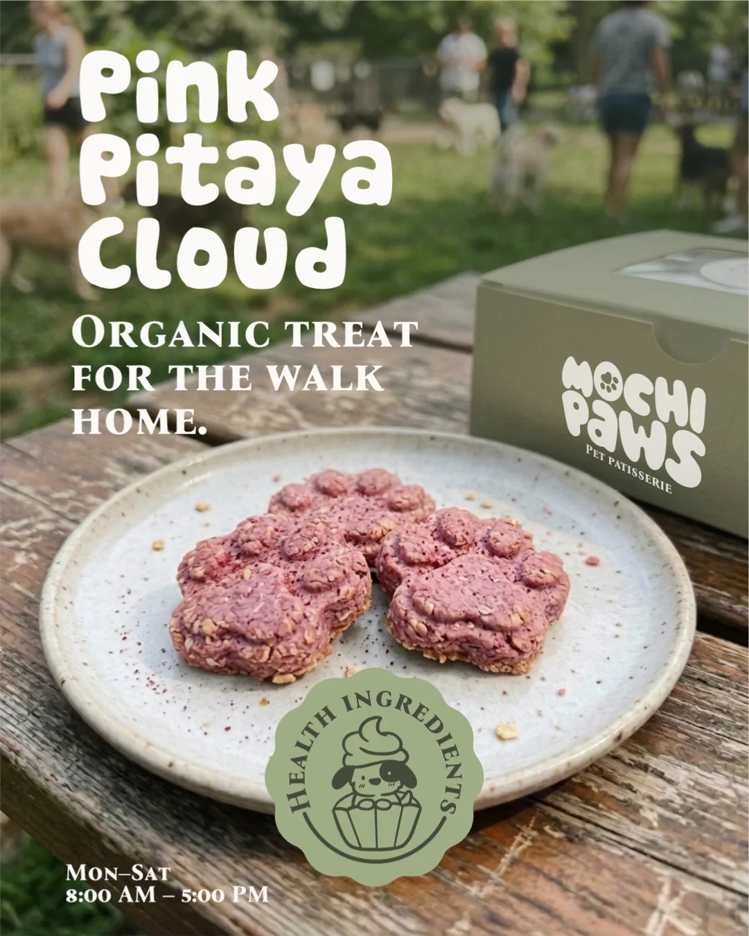 Pink Pitaya Cloud organic pet treats on a ceramic plate outdoors, with a pet bakery box beside it. Background shows people walking dogs in a park.