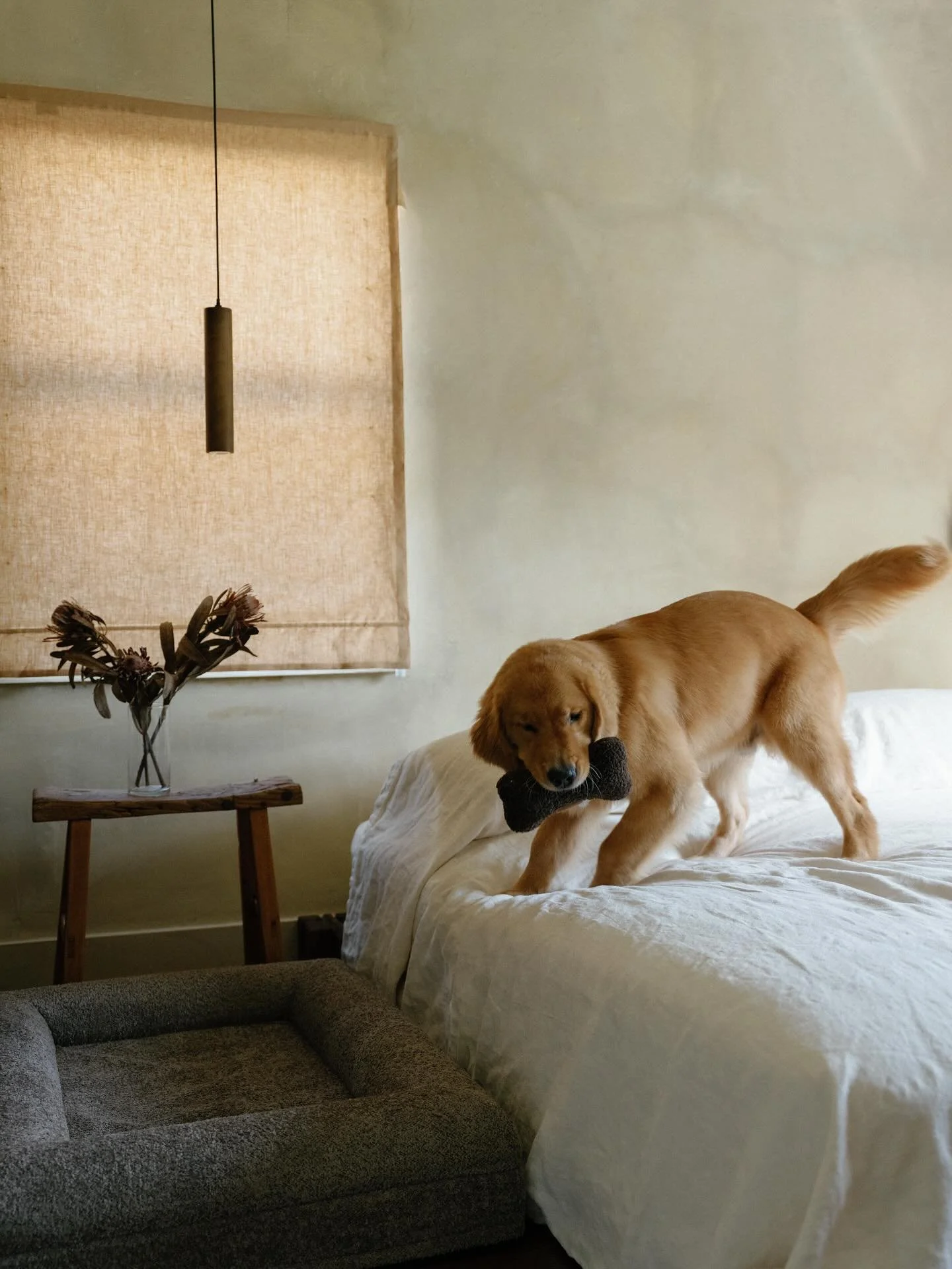 48 hours.
Early access opens tomorrow.
Subscribers receive a private link + an exclusive launch-day code.
𝐉𝐨𝐢𝐧 𝐭𝐡𝐞 𝐥𝐢𝐬𝐭 &mdash; 𝐥𝐢𝐧𝐤 𝐢𝐧 𝐛𝐢𝐨. 🔗