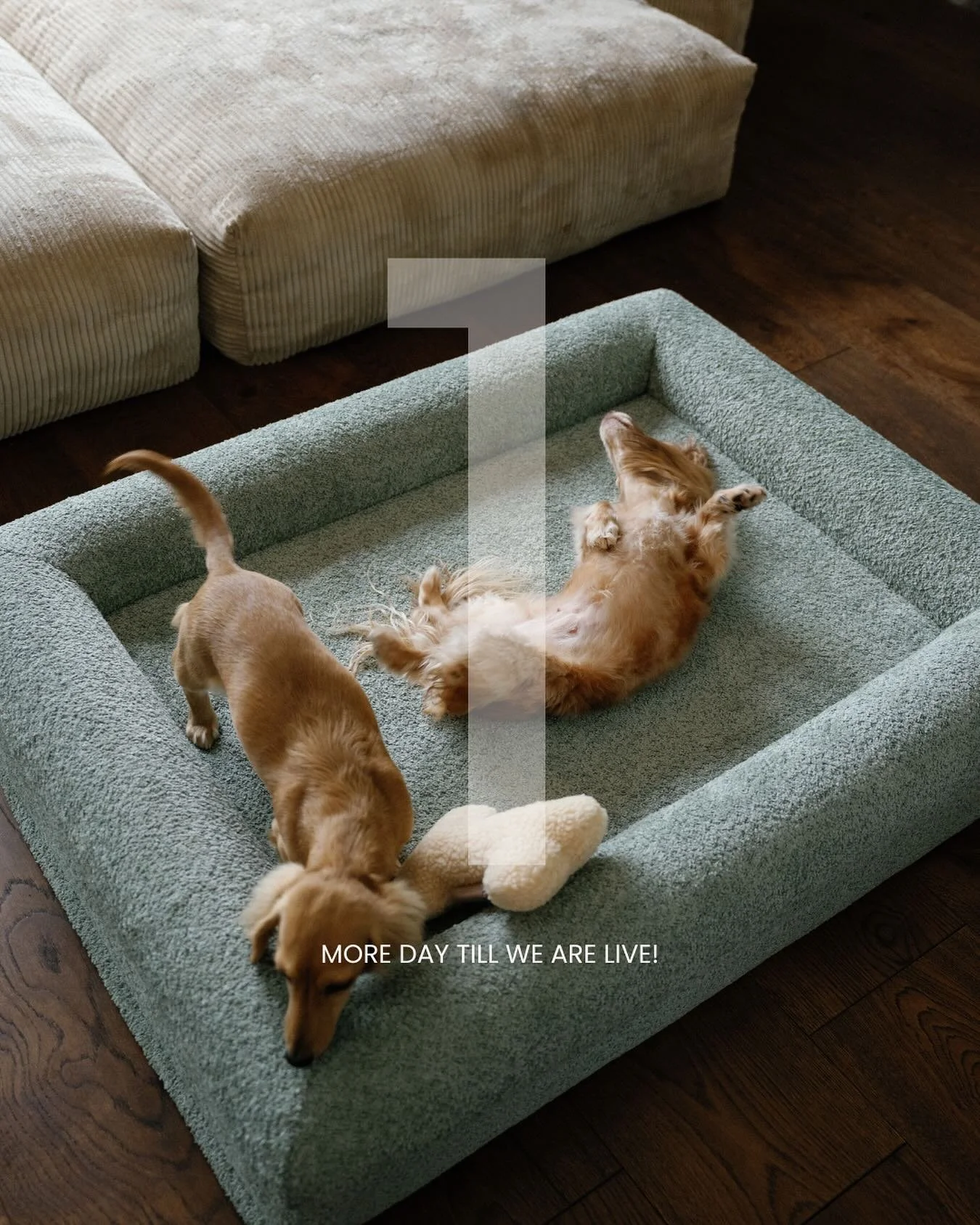 𝟏 𝐦𝐨𝐫𝐞 𝐝𝐚𝐲&hellip;
Early access drops today at 11 AM.
Subscribers get first access + an exclusive launch perk 🤍

𝐒𝐮𝐛𝐬𝐜𝐫𝐢𝐛𝐞 𝐯𝐢𝐚 𝐭𝐡𝐞 𝐥𝐢𝐧𝐤 𝐢𝐧 𝐛𝐢𝐨.