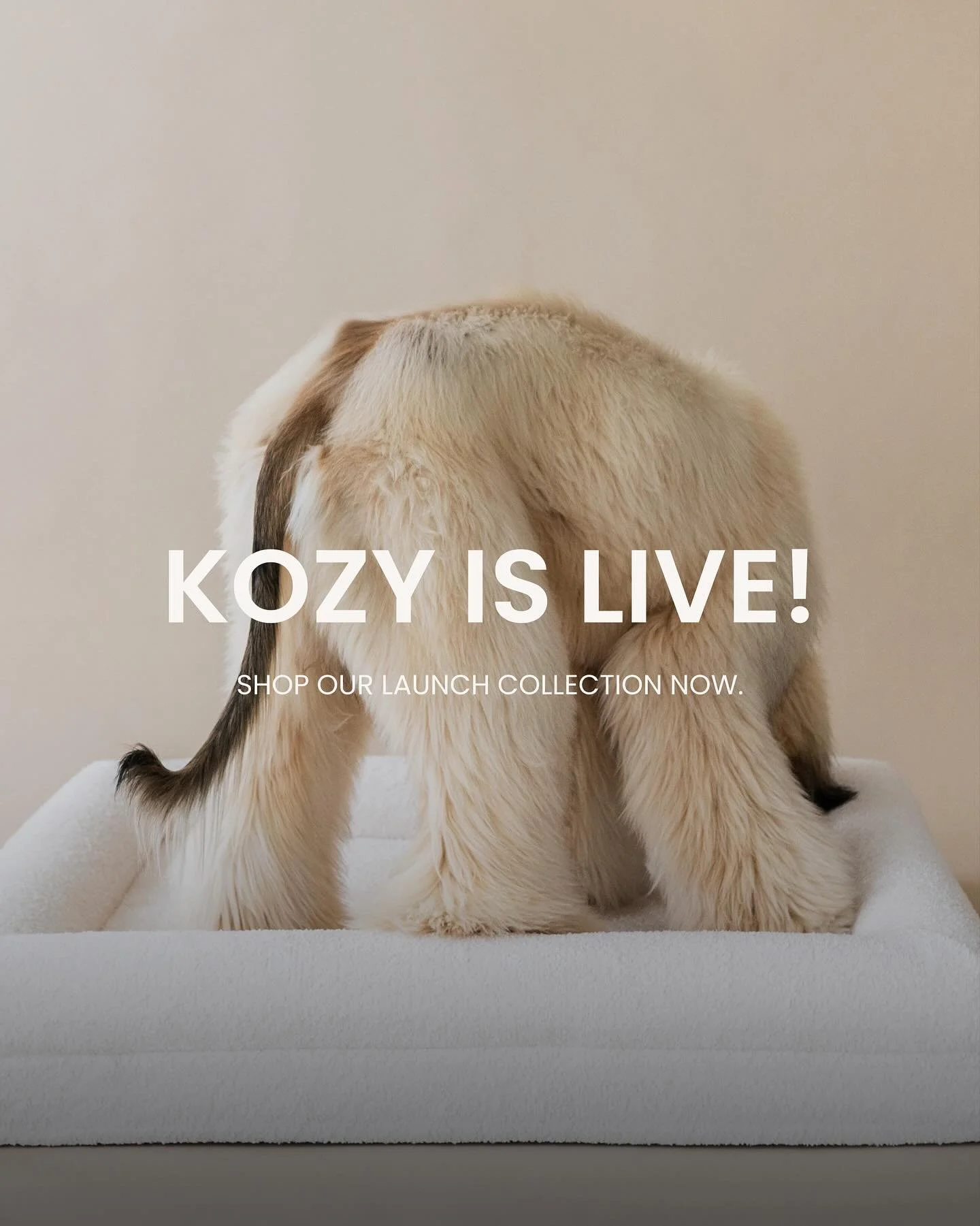 Today is the day. ✨
KOZY is officially live.

What started as a dream on my living room floor&mdash;sketches, fabric swatches, long nights, and lots of cuddles with my own pups&mdash;has finally become something real. A brand built from love, intenti