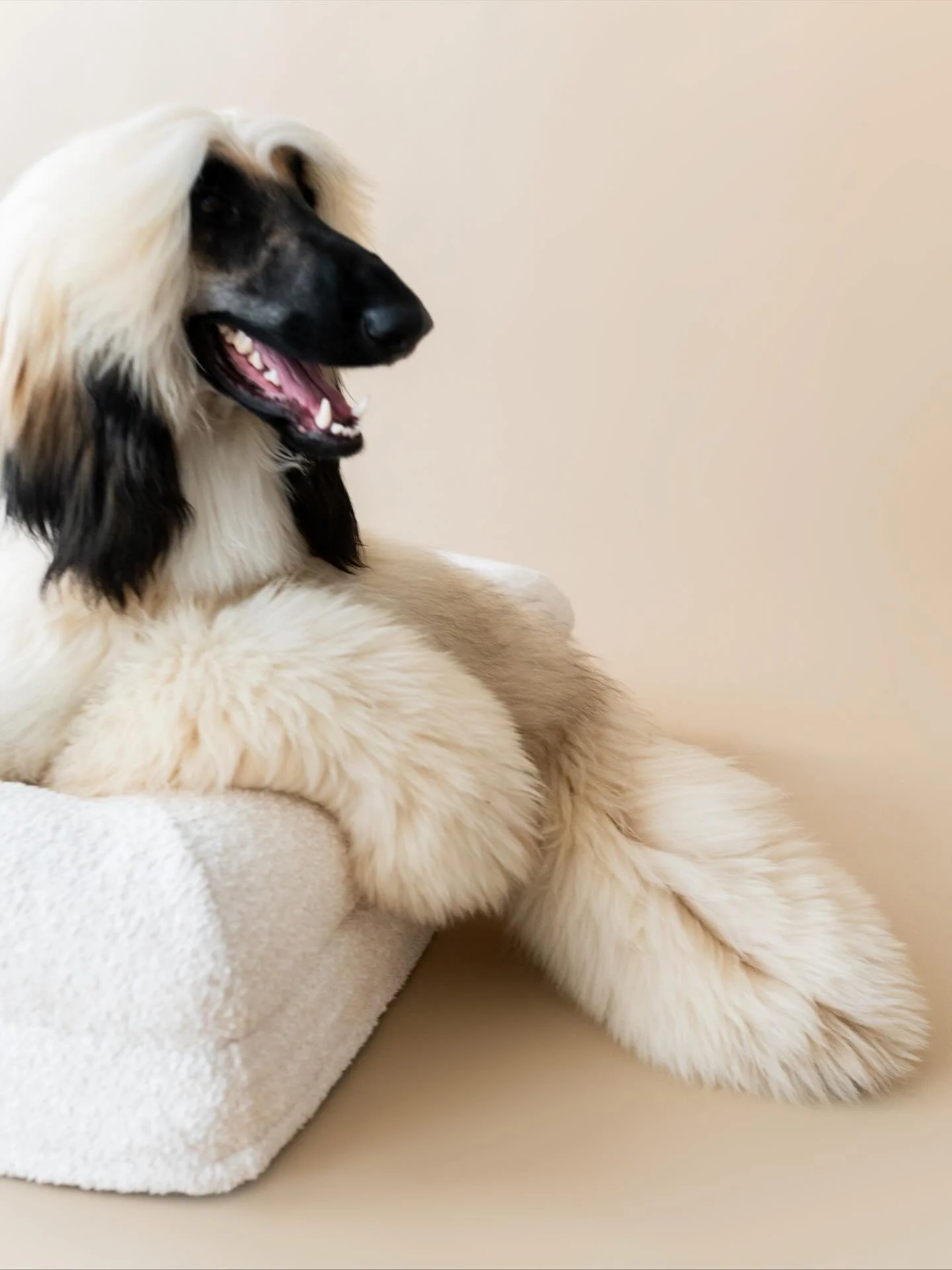 You&rsquo;ve seen the launch &mdash; now see the world of KOZY come to life. 🤍

From sculpted orthopedic support to soft boucl&eacute; textures and timeless tones &mdash; every detail was designed with comfort and beauty in mind.

At KOZY, our missi