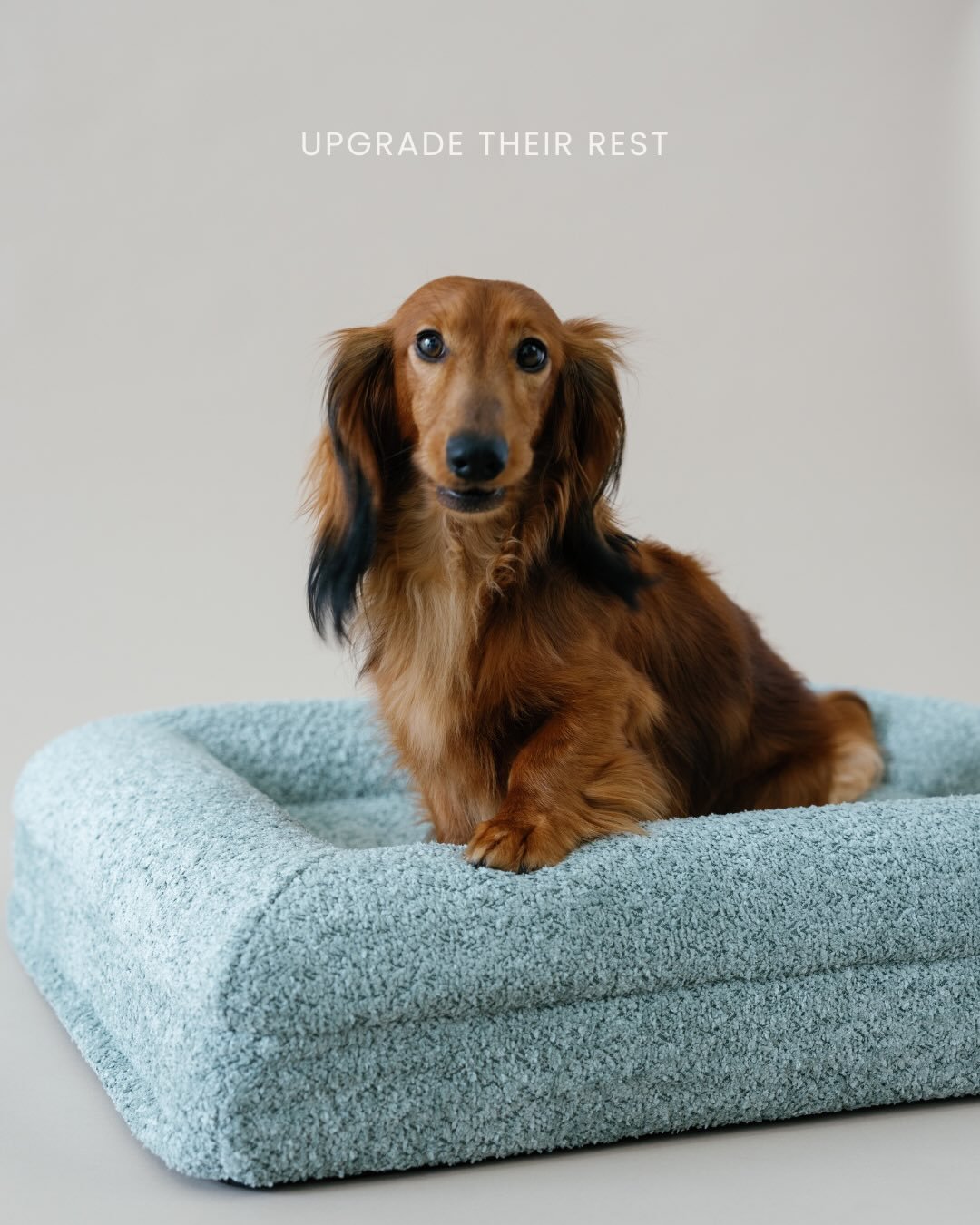 Your dog spends 12&ndash;18 hours a day resting.
Where they rest matters.

Upgrade their rest.
Upgrade their comfort.
Upgrade their life. ✨

KOZY beds are built with real orthopedic support &mdash; not fluff &mdash; giving your pup the alignment, pre