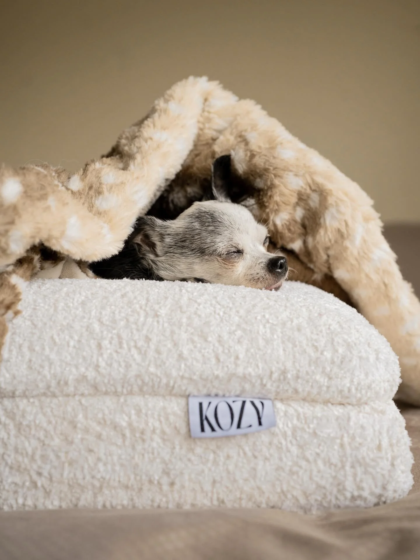 As our dogs get older, their needs change.
They take a little longer to get up. They move a little slower. And they definitely need more rest. Senior dogs often deal with arthritis and stiffness. Proper orthopedic support makes a real difference. A s