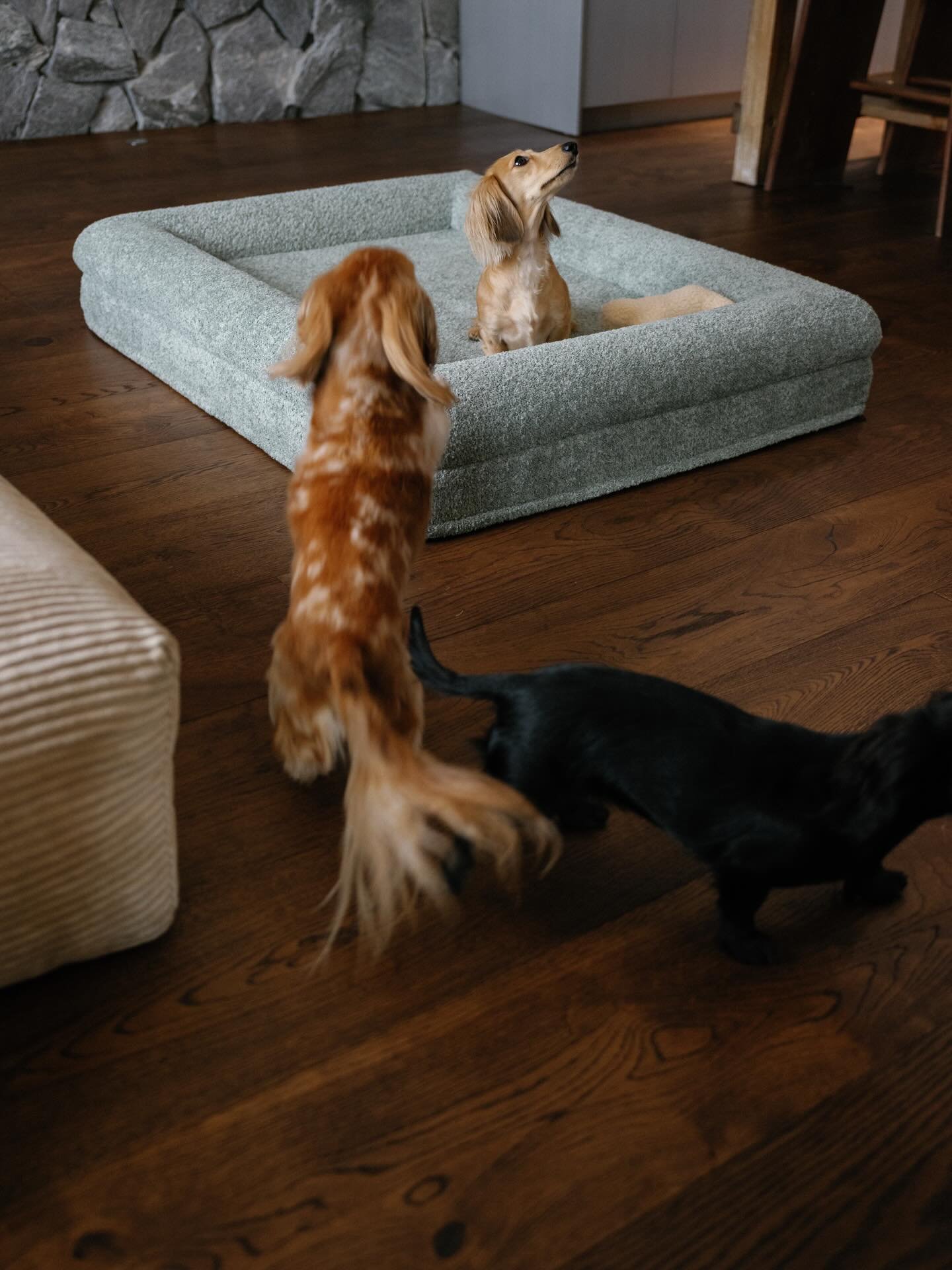 Saturday reset 🤍

We&rsquo;ve been getting these questions a lot: Is the cover washable? And is the bed waterproof?

The KOZY cover is fully removable and machine-washable, and a protective waterproof liner helps shield the orthopedic foam underneat