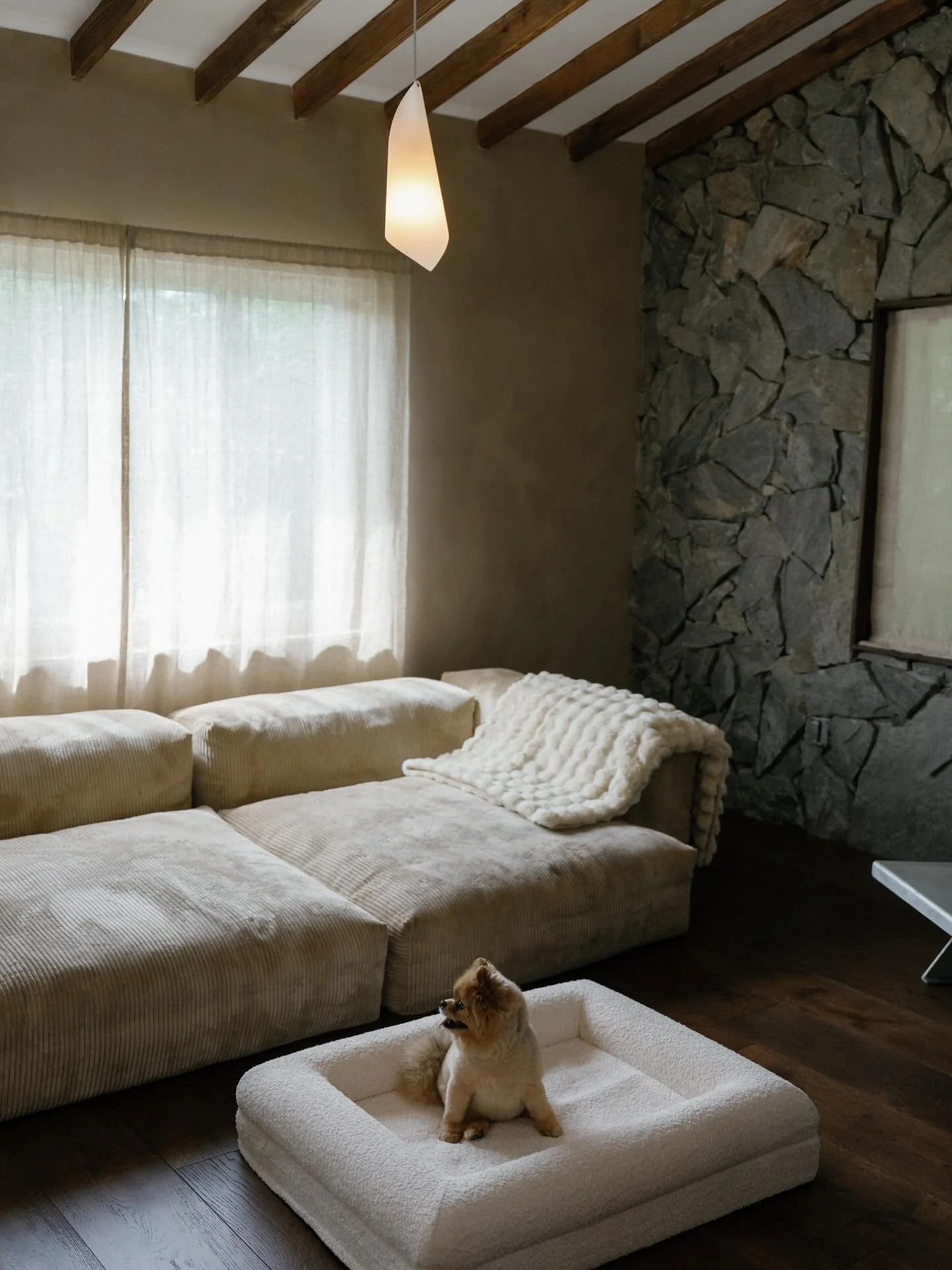 Designed to be seen. Never hidden.

We&rsquo;re deep in the studio this week, fine-tuning the next KOZY collection &mdash; new pieces, paw-picked by Mochi, designed to layer into their daily rituals and make their space even more inviting.

What woul