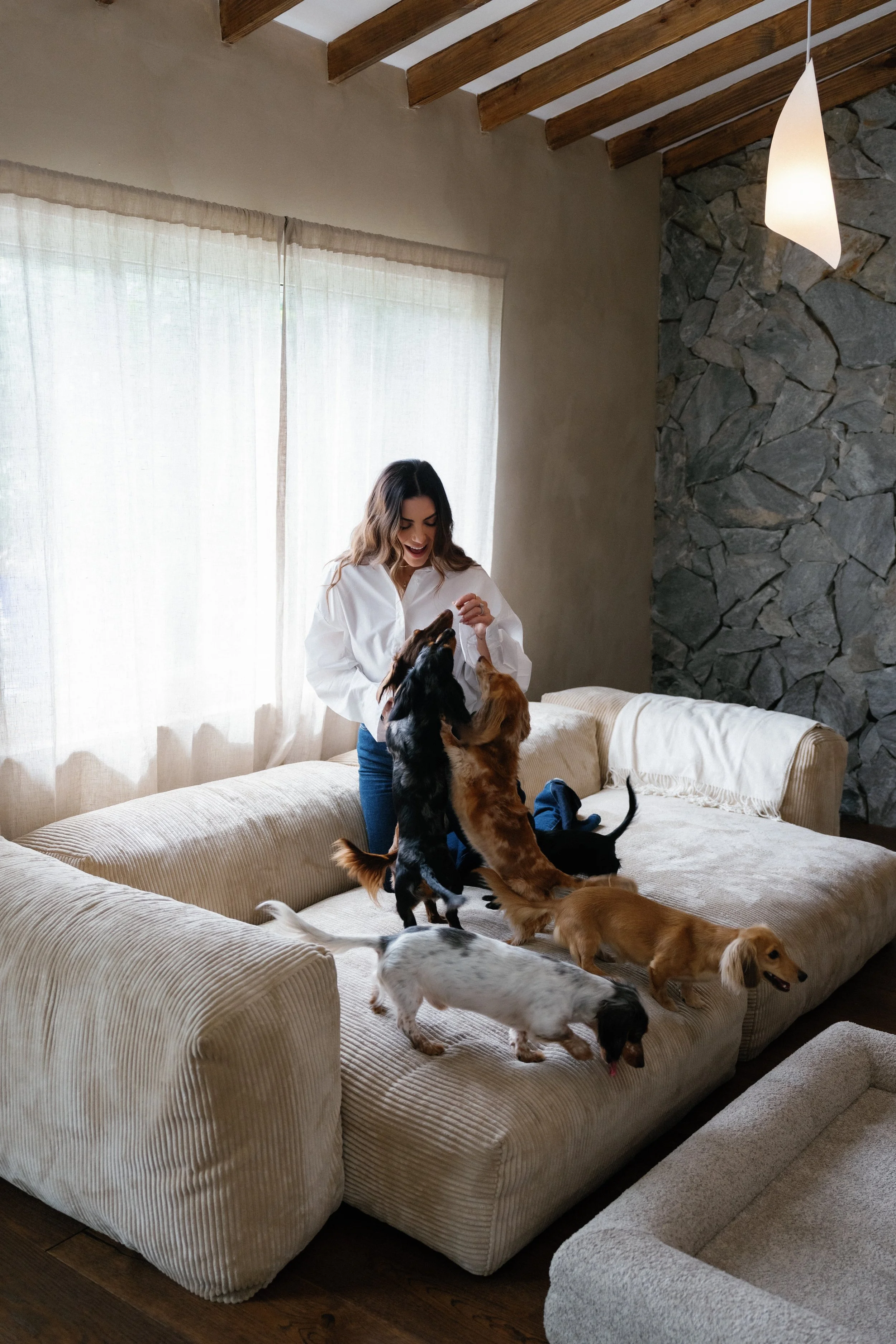 Woman playing with five dogs on a beige sofa in a living room with large window, curtains, and a stone wall.
