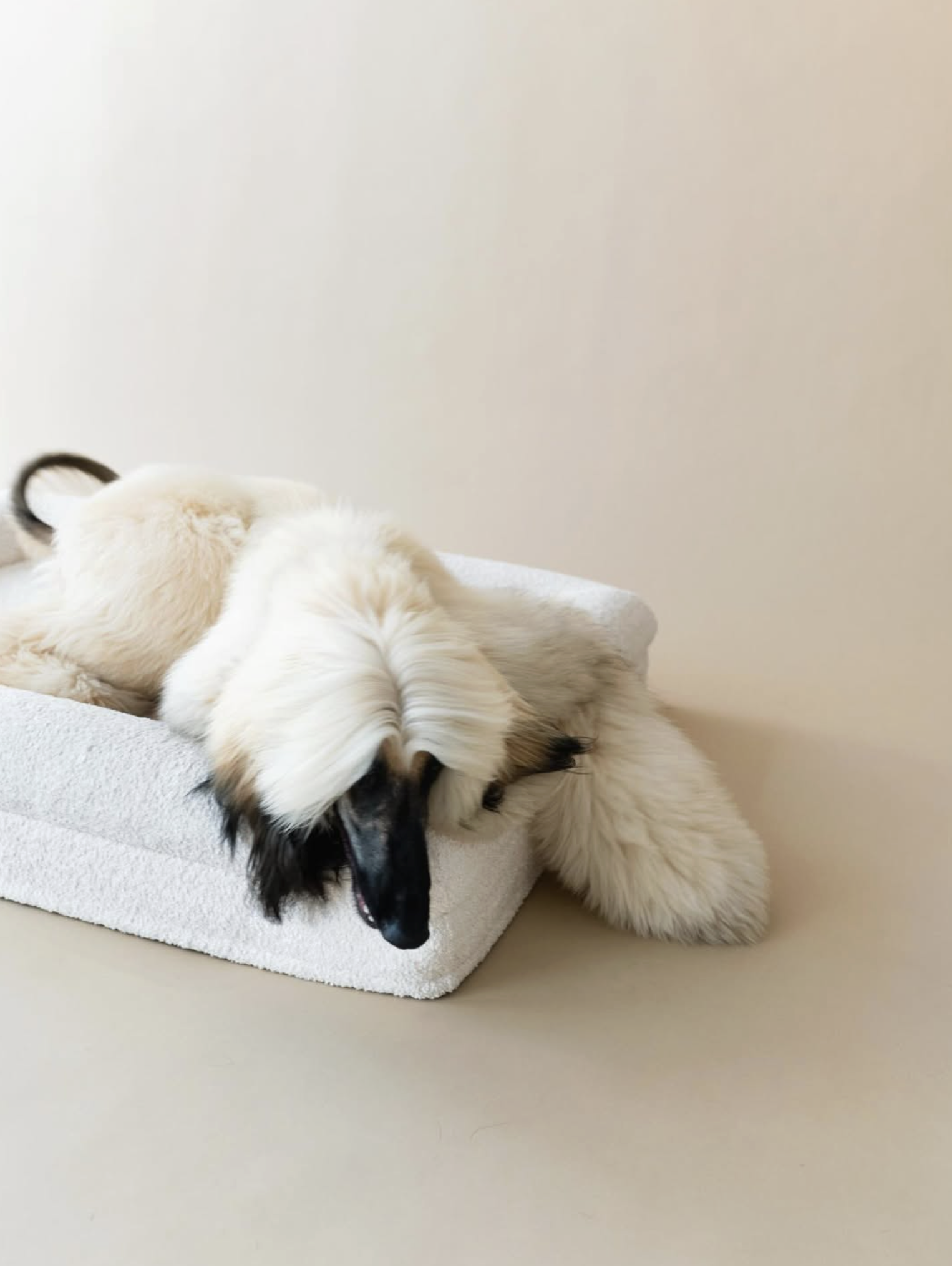 Screenshot 2026-02-07 at 10.55.44 AM.png