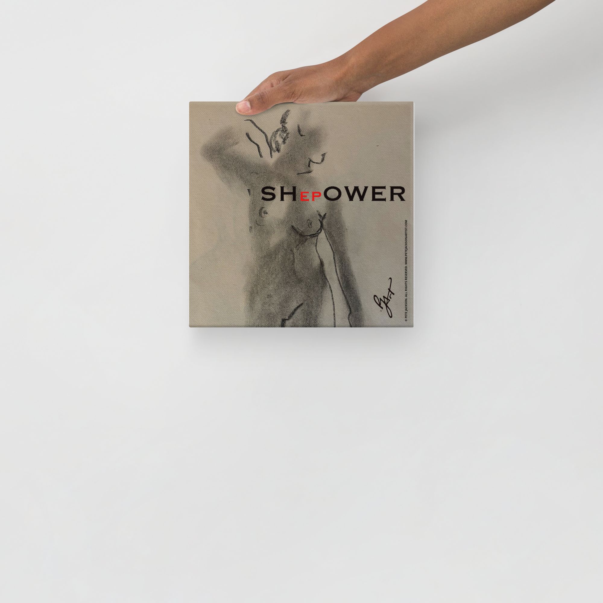 canvas-(in)-10x10-front-6a0cd507b7625.png