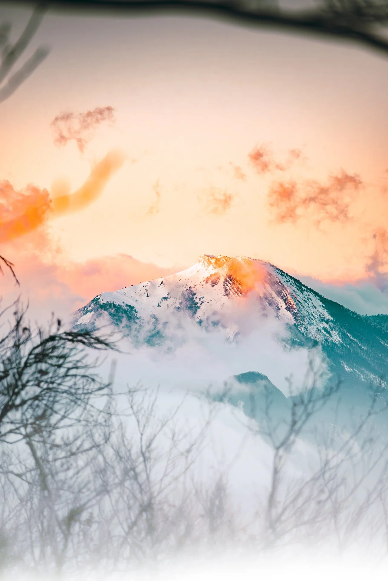 _2MG_0977-Avec accentuation-NR.jpg