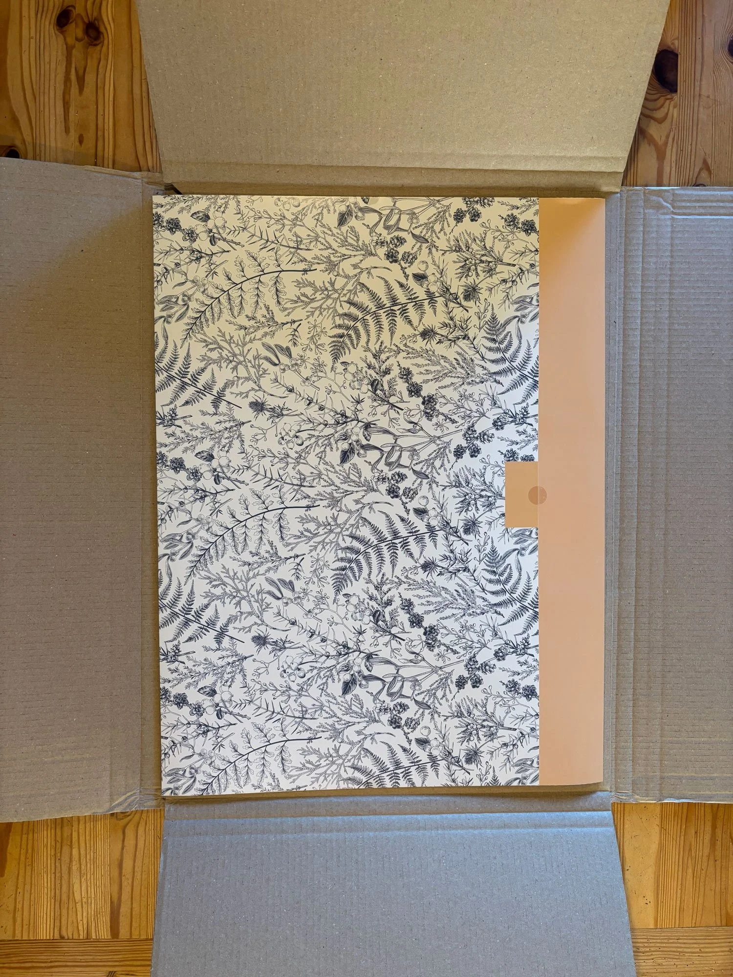 Une boîte en carton contenant une feuille de papier ou une affiche avec un motif de plantes et de feuilles en noir sur fond blanc.