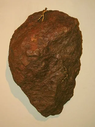 A large, irregularly shaped reddish-brown rock with a small yellowish lizard on top.