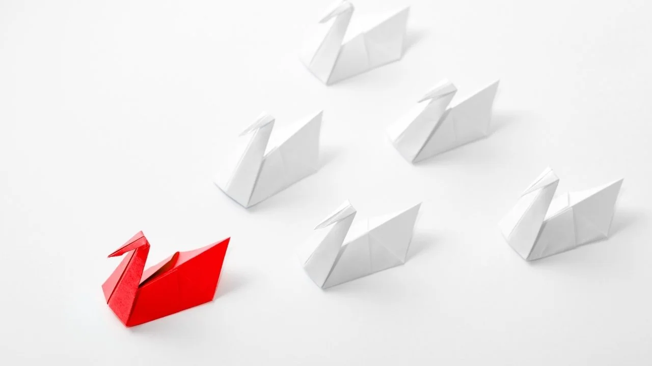 Six origami paper swans, one red and five white, arranged on a white surface with the red swan in the foreground.