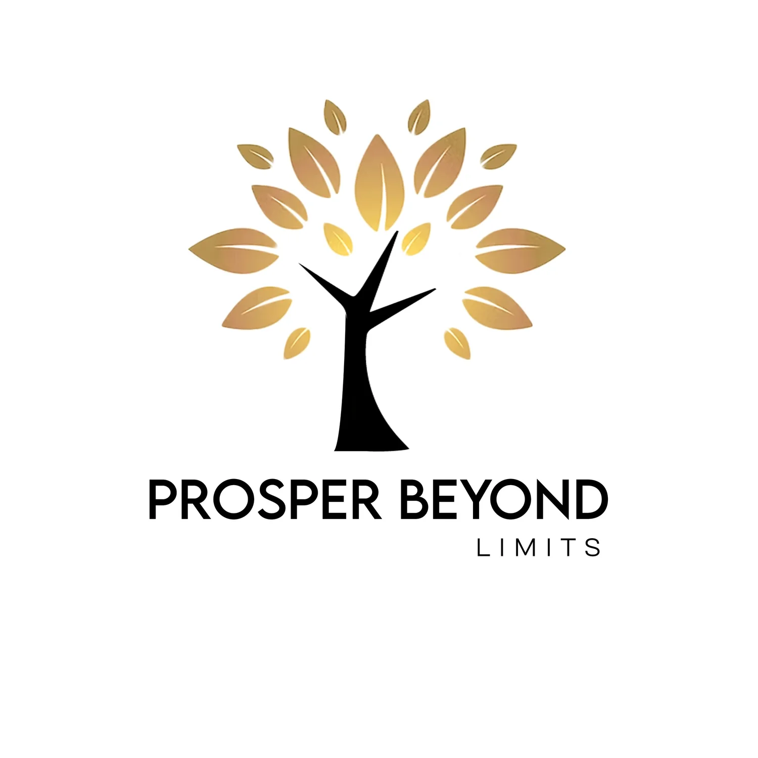 Prosper Beyond Limits