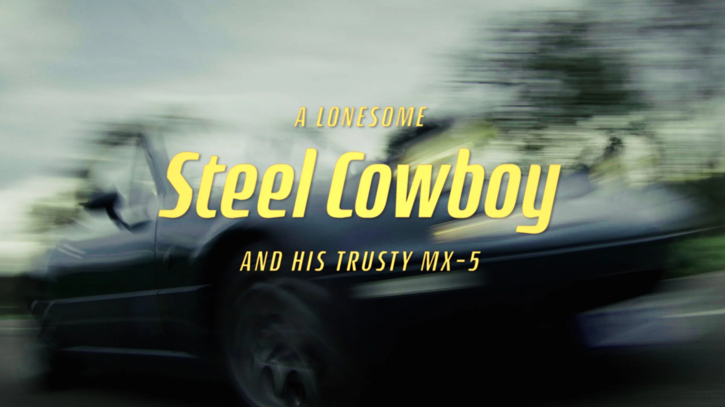Steel Cowboy