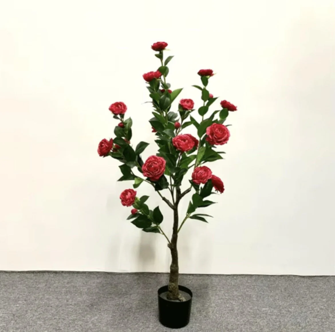 red rose tree