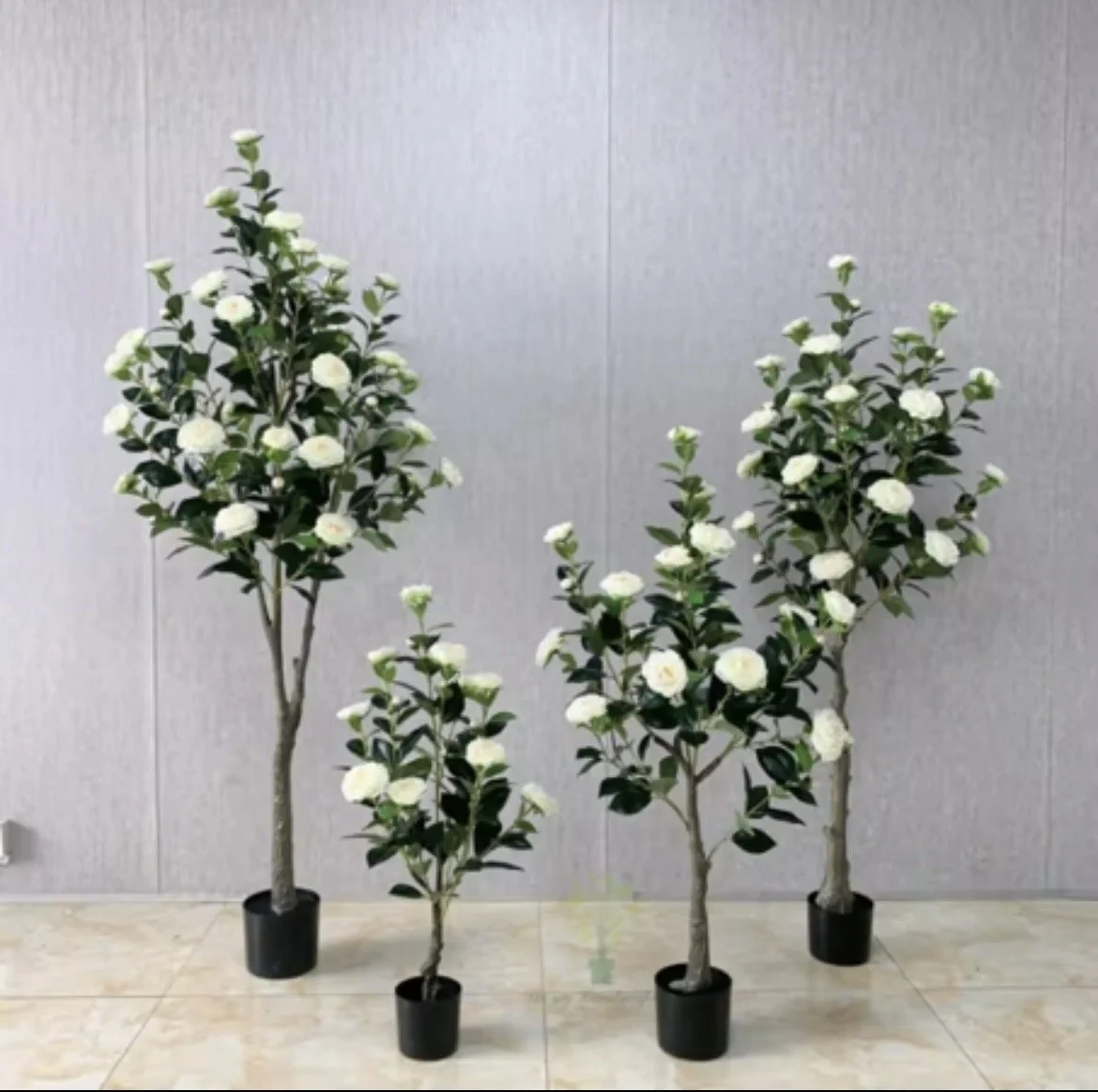 White rose tree
