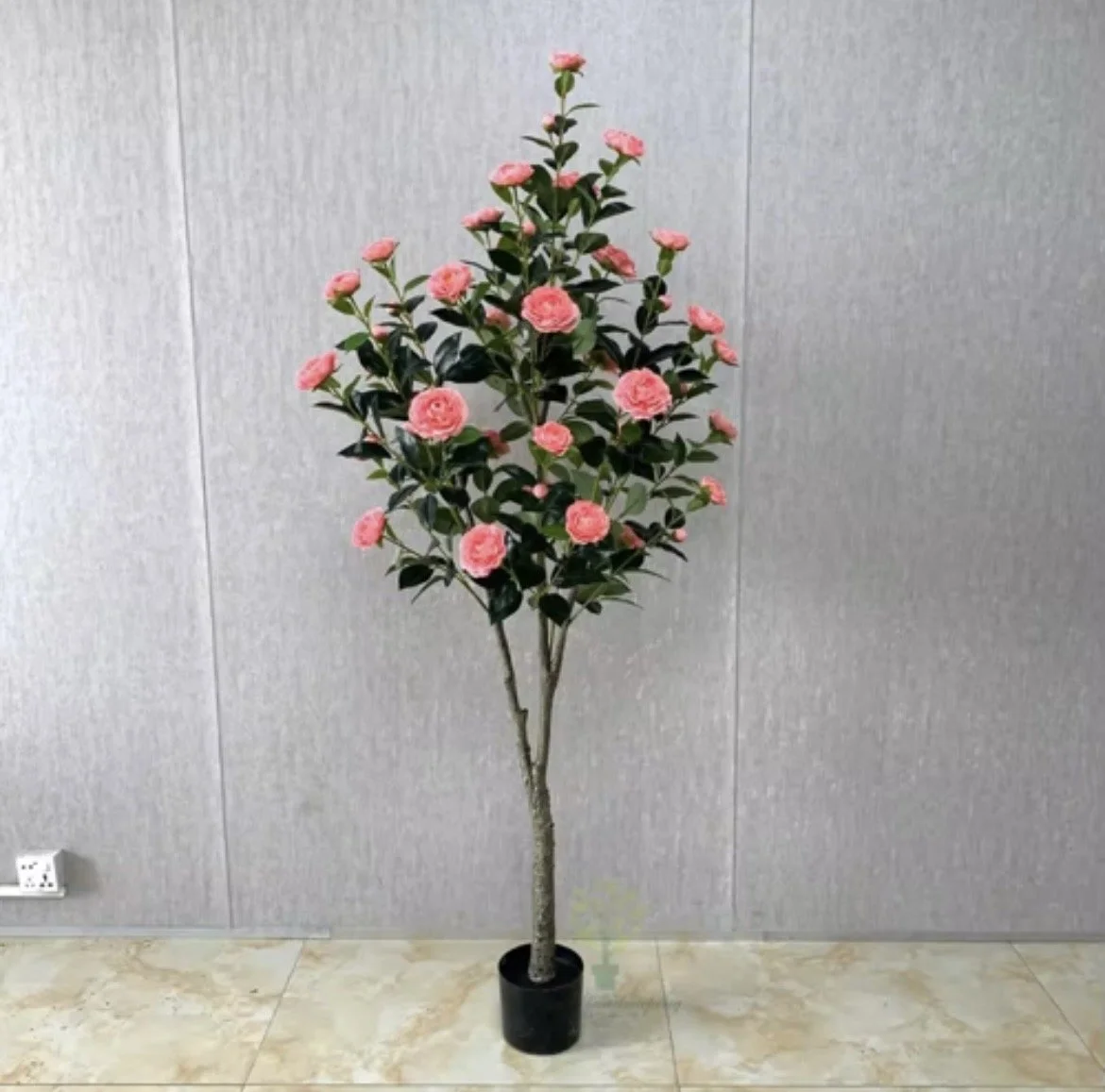 Pink rose tree