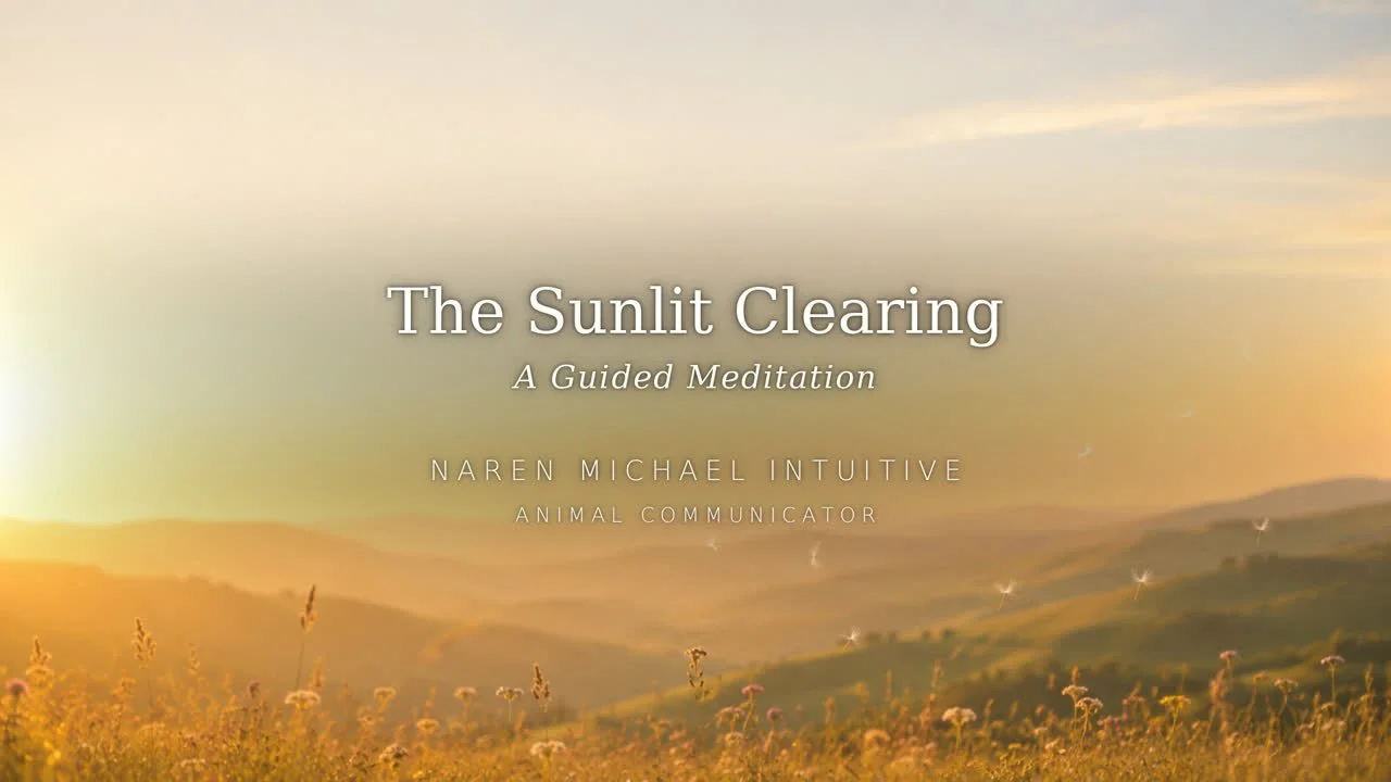 The Sunlit Clearing