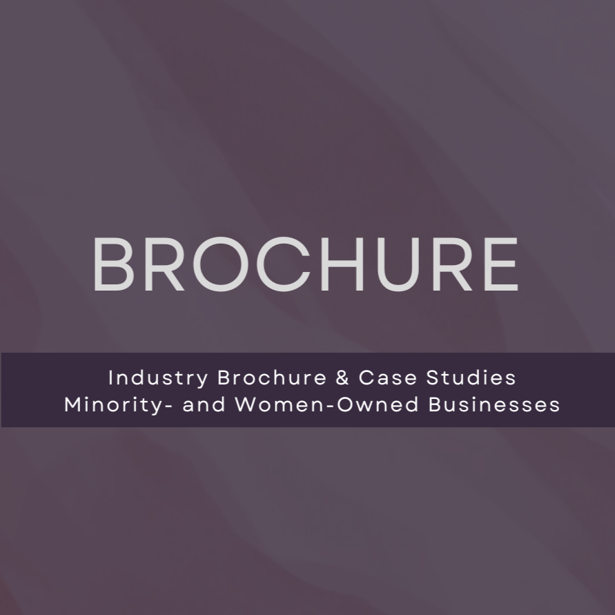 Minority- and women-owned business enterprises industry focused one-pager with case study examples.