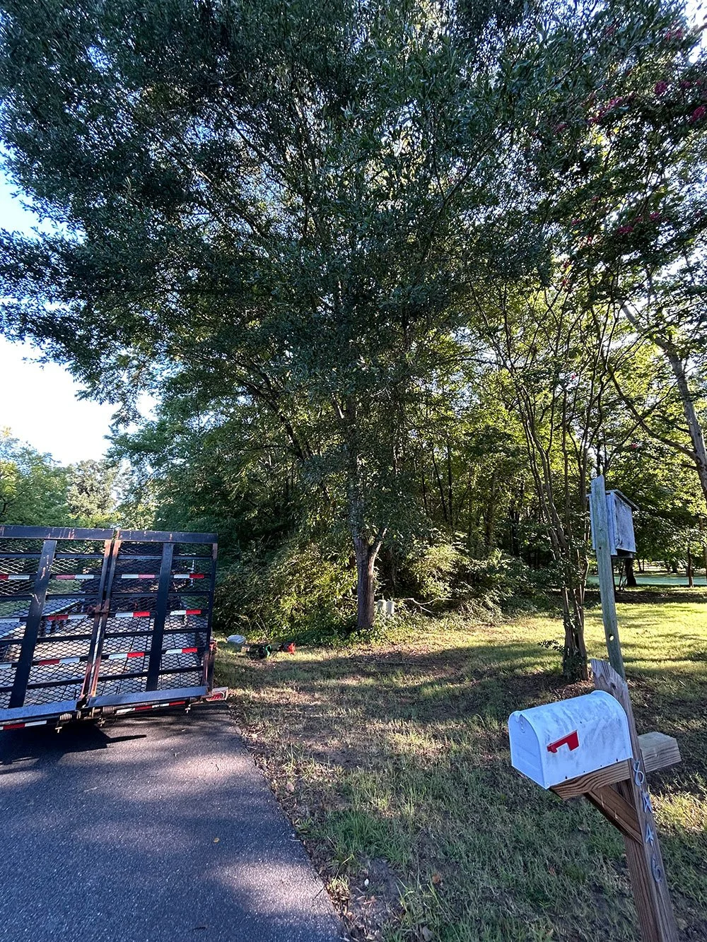 Trailer loaded with yard debris for haul-away