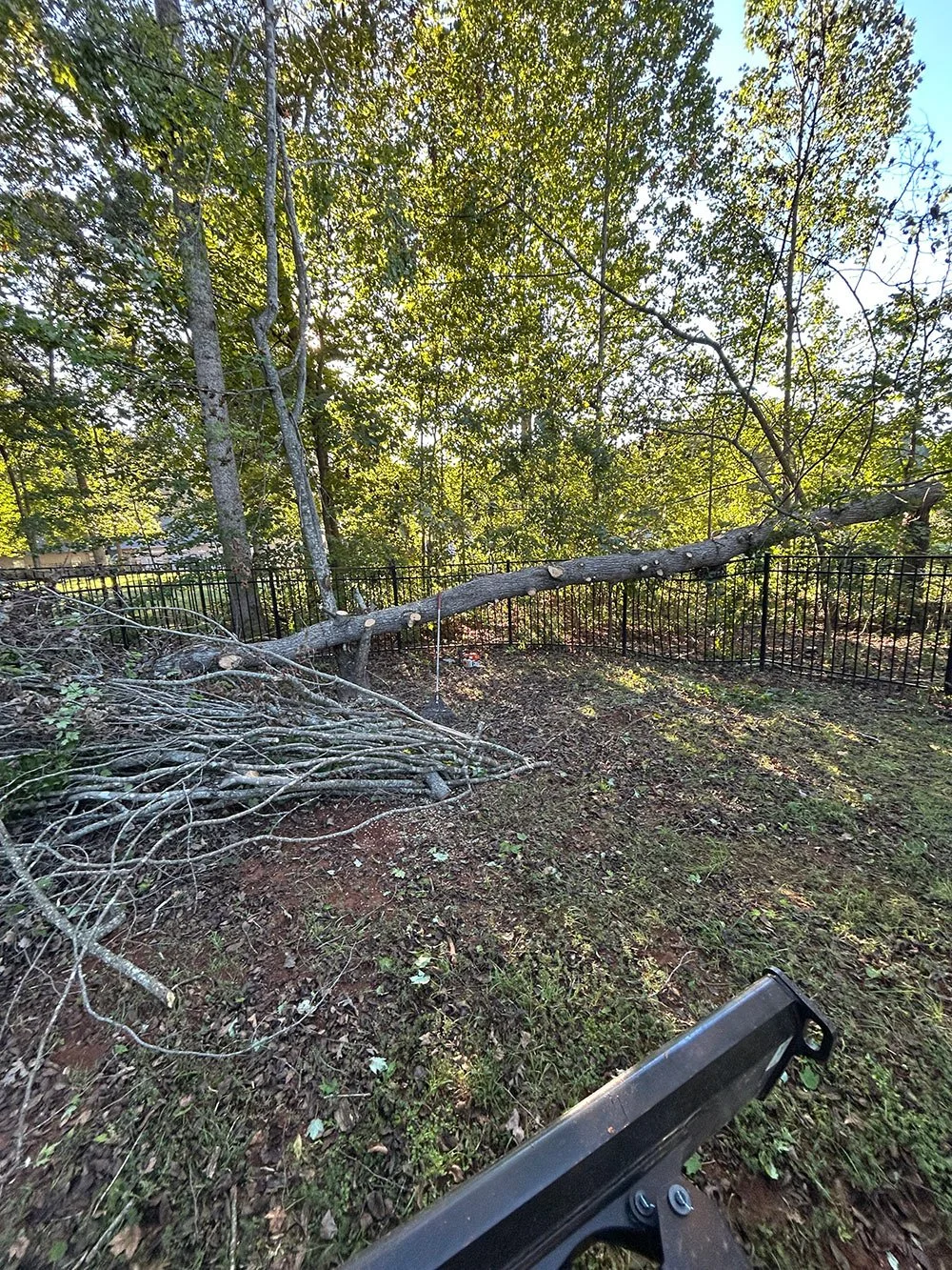 Downed limbs and brush piled along a fence line before cleanup