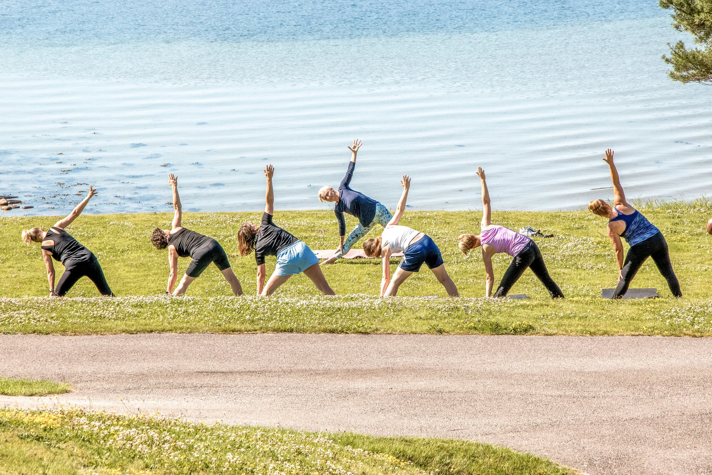 Grupp människor som utövar yoga utomhus vid en sjö på en gräsplan, soligt väder.