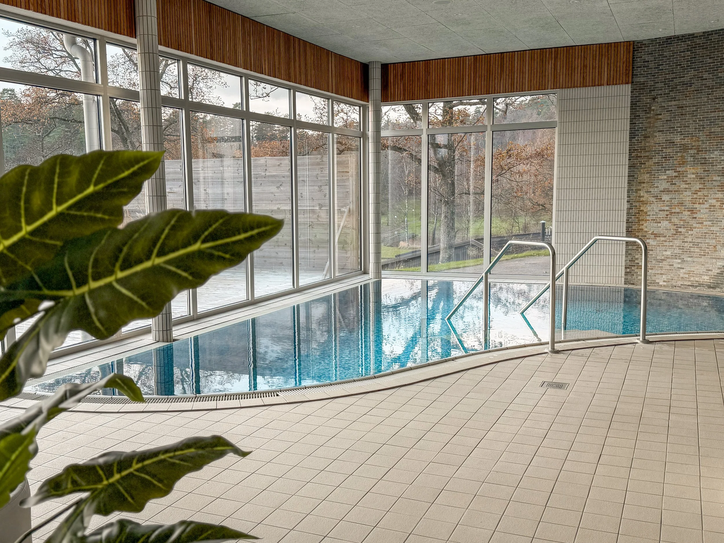 Inomhuspool med stora fönster som visar träd och utomhusmiljö, även ett grönt växtblad i förgrunden.