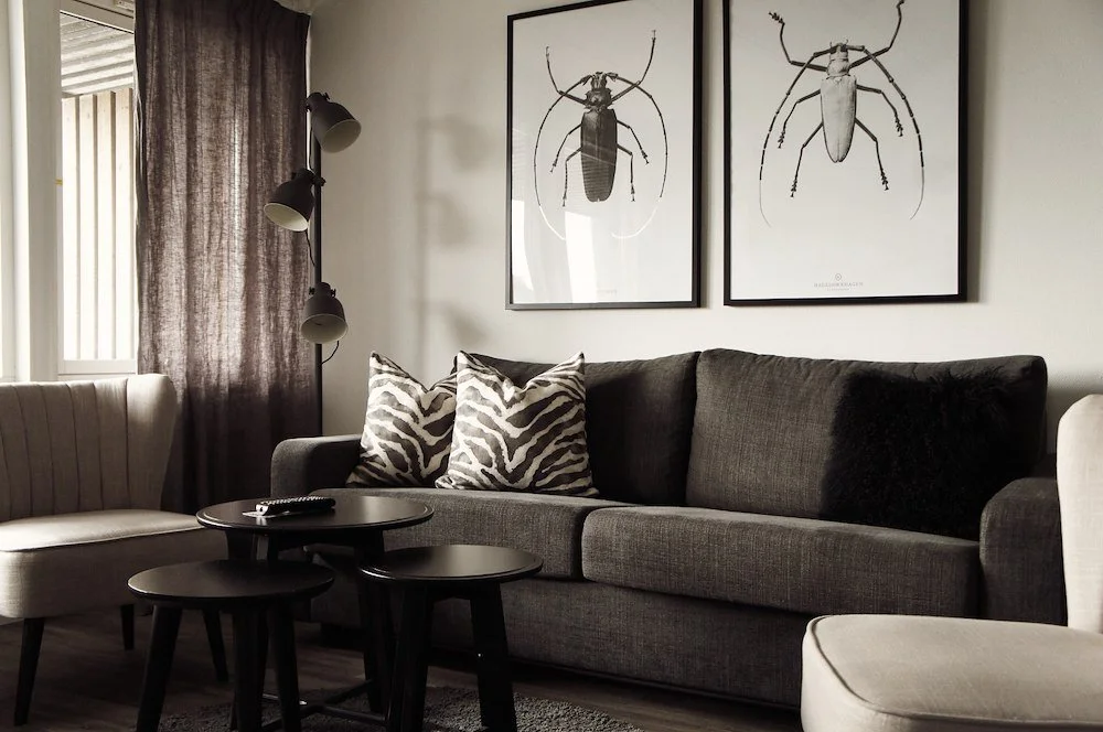 En vardagsrumsdel med en mörkgrå soffgrupp, zebra-tryckande kuddar, en svart sidobord och en väggdekor med insektsillustrationer.