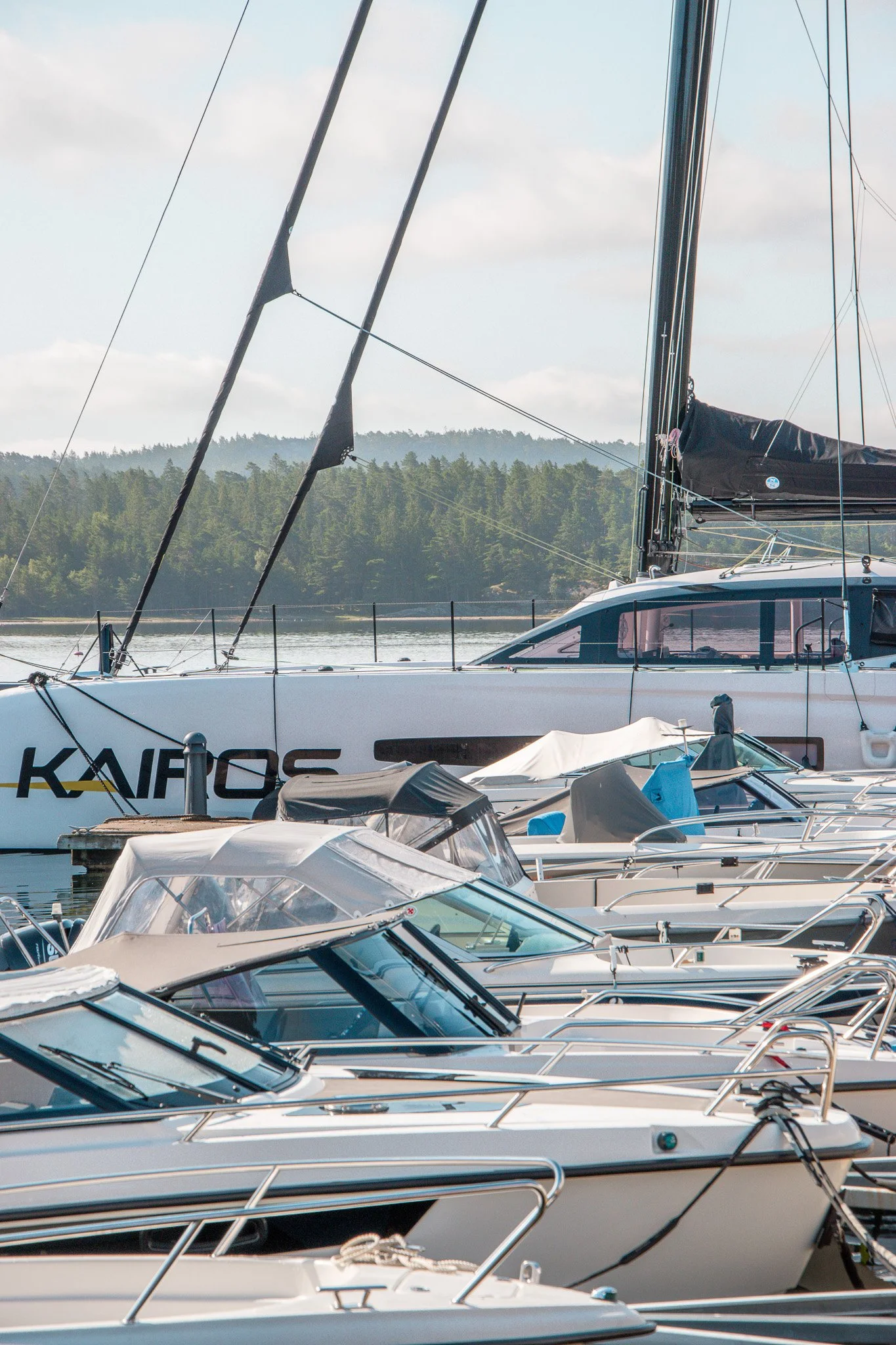 Flera motor- och segelbåtar förtöjda vid en kaj med en skog och ett berg i bakgrunden.