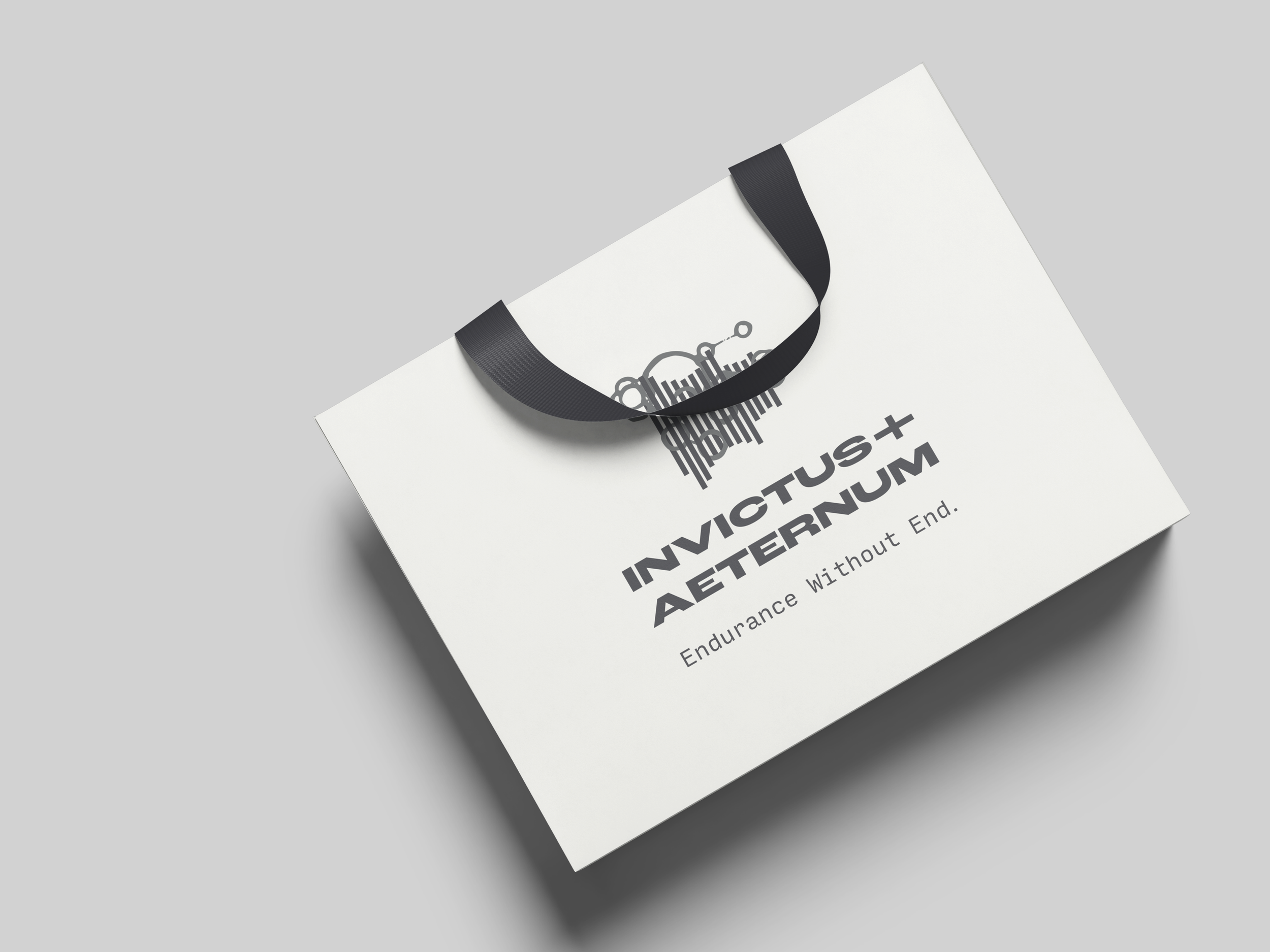 Top View - Paper Bag Mockup1.png