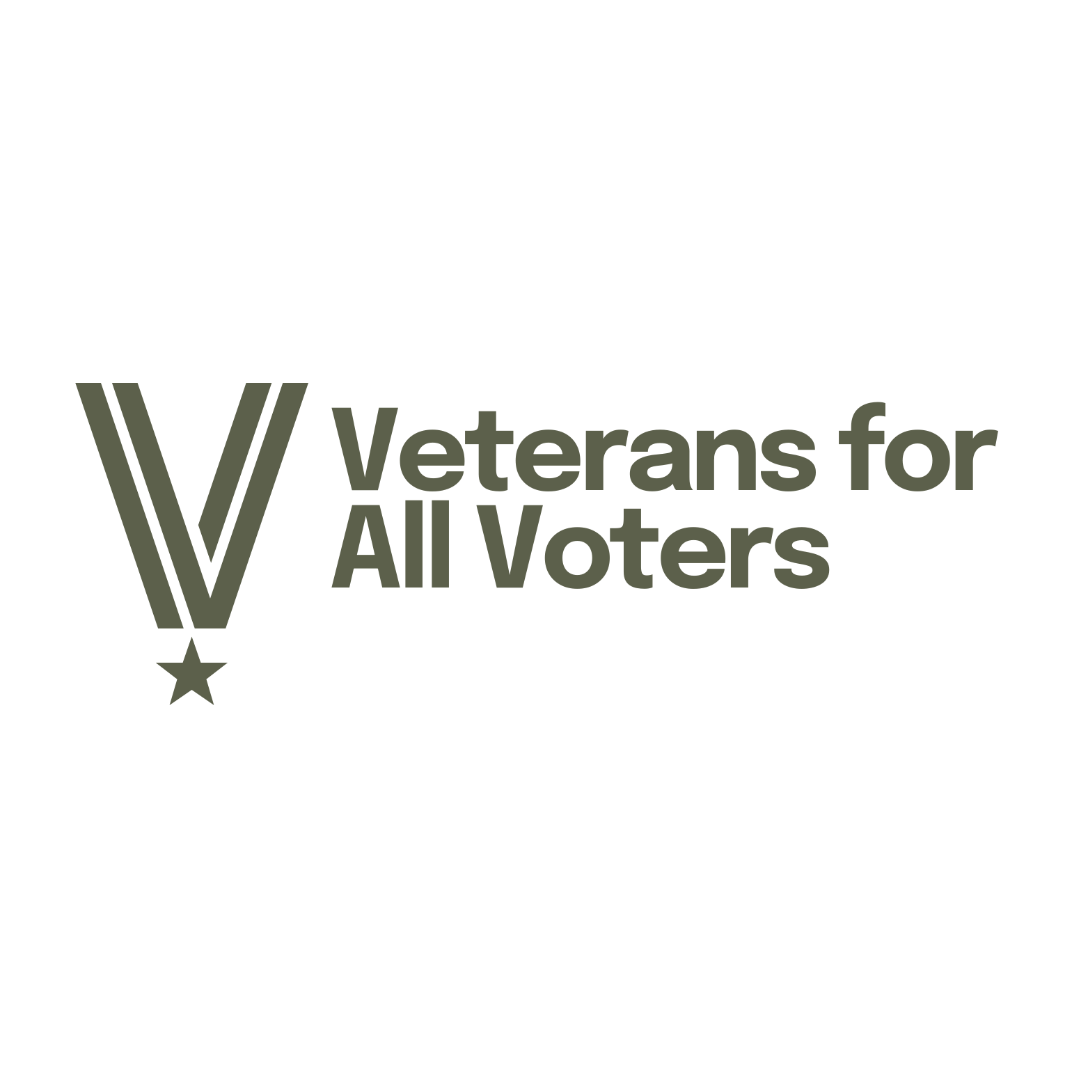 Logo for Veterans for All Voters featuring a stylized V with three stripes and a star hanging below, accompanied by the text 'Veterans for All Voters'.