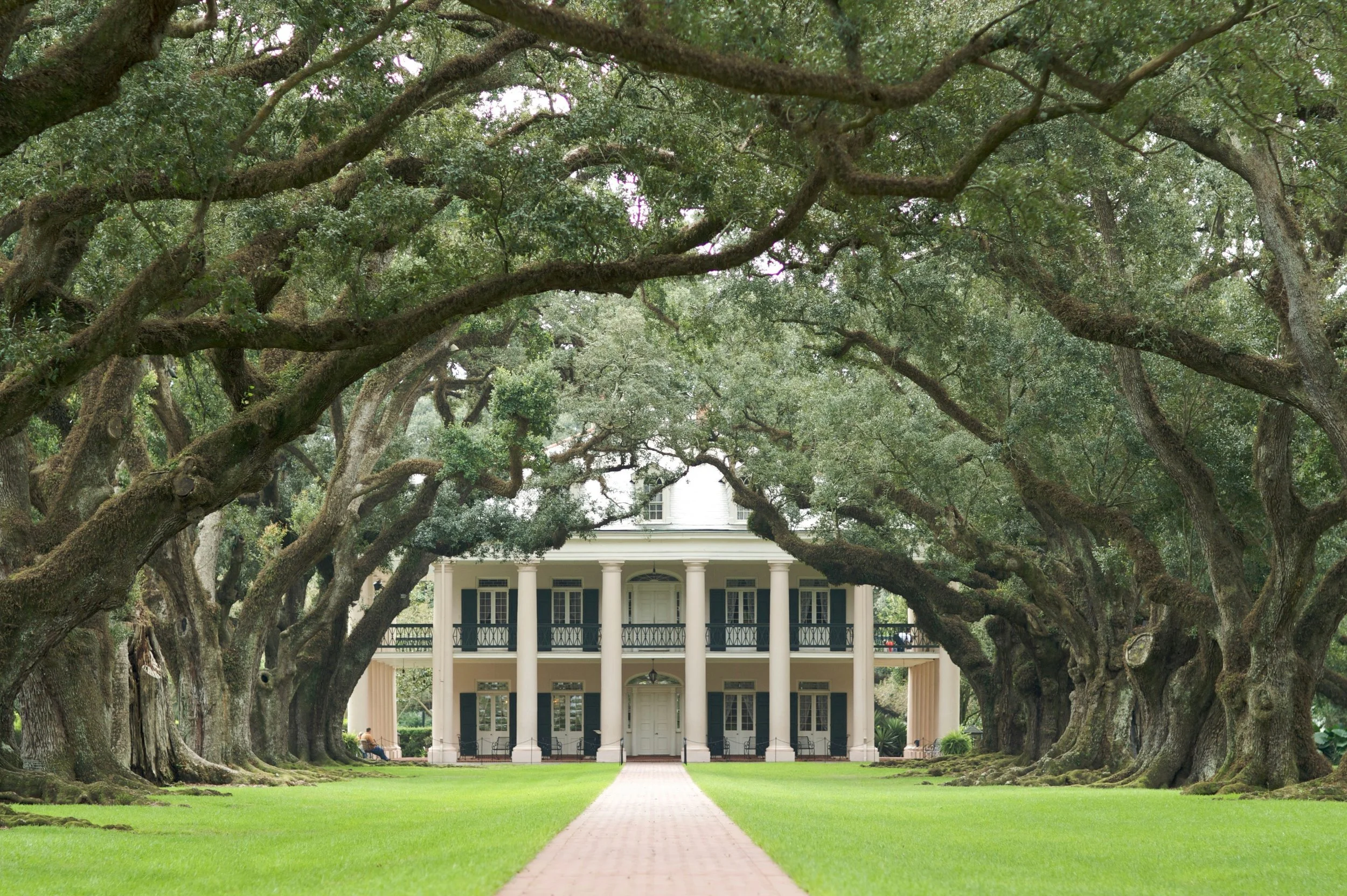 Historic Charleston plantation home framed by large live oak trees and a brick-lined path
