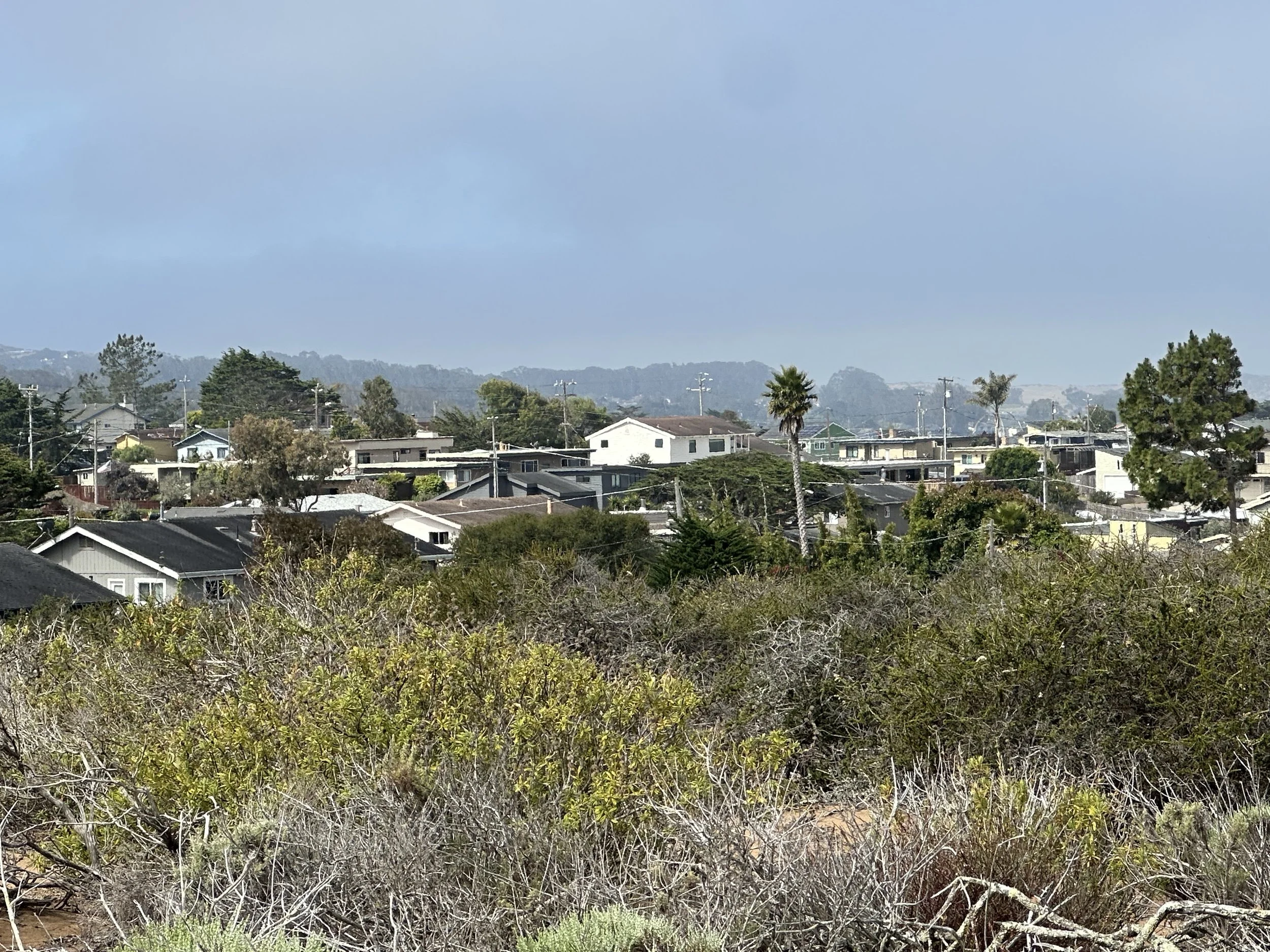 The house as seen from Elfin Forest (the top house)