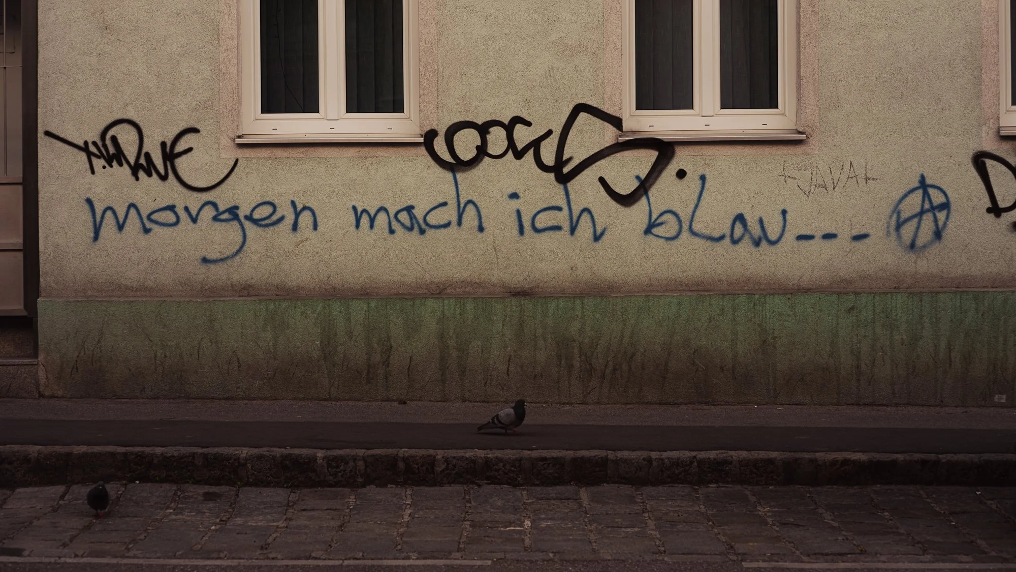 Graffiti on a beige wall with two windows. The graffiti includes words in German and English, such as "mogen mach ich blaw" and a peace symbol. There are two pigeons on the sidewalk below, with one closer to the wall and one near the curb.