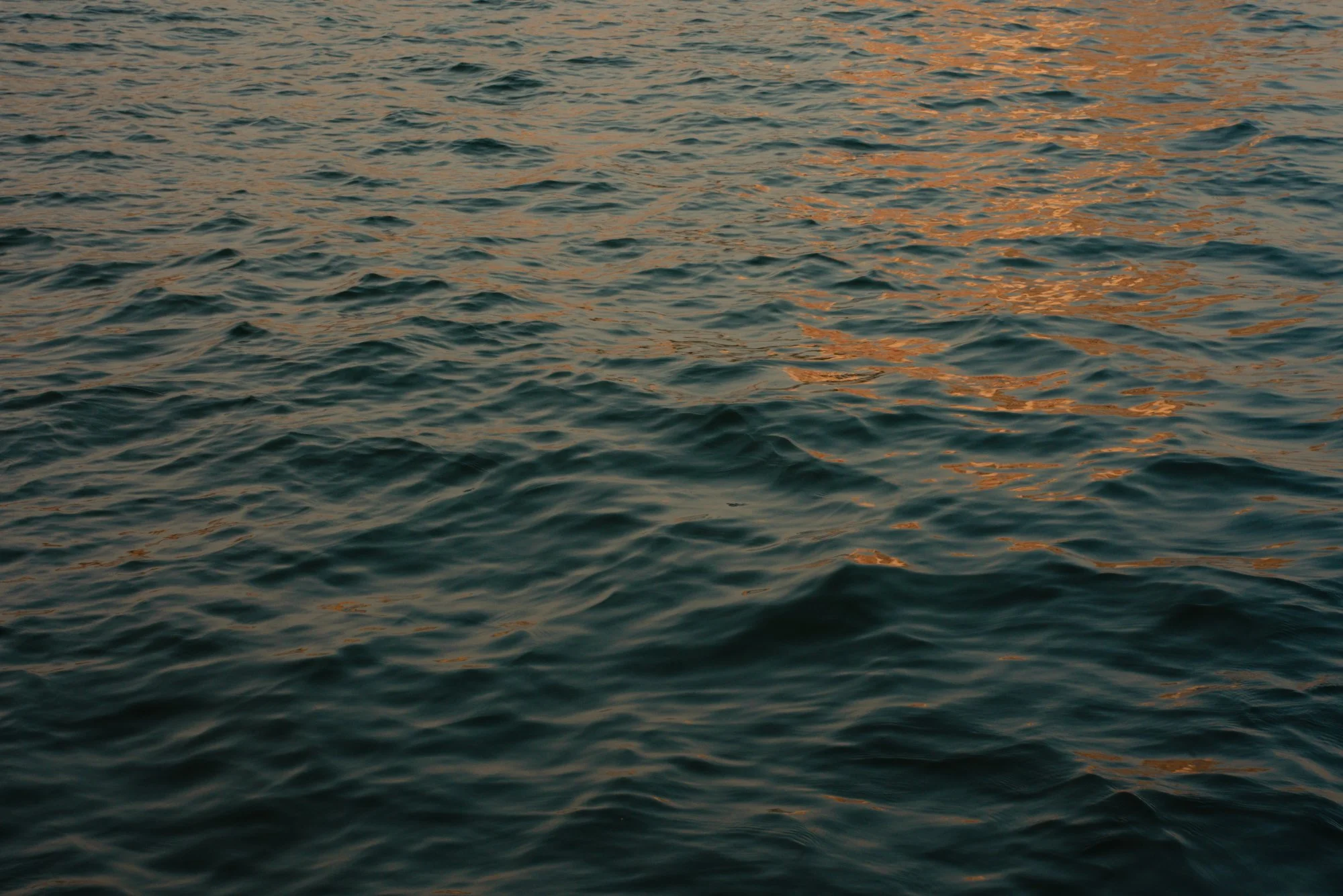 A calm body of water reflecting a warm sunset glow.