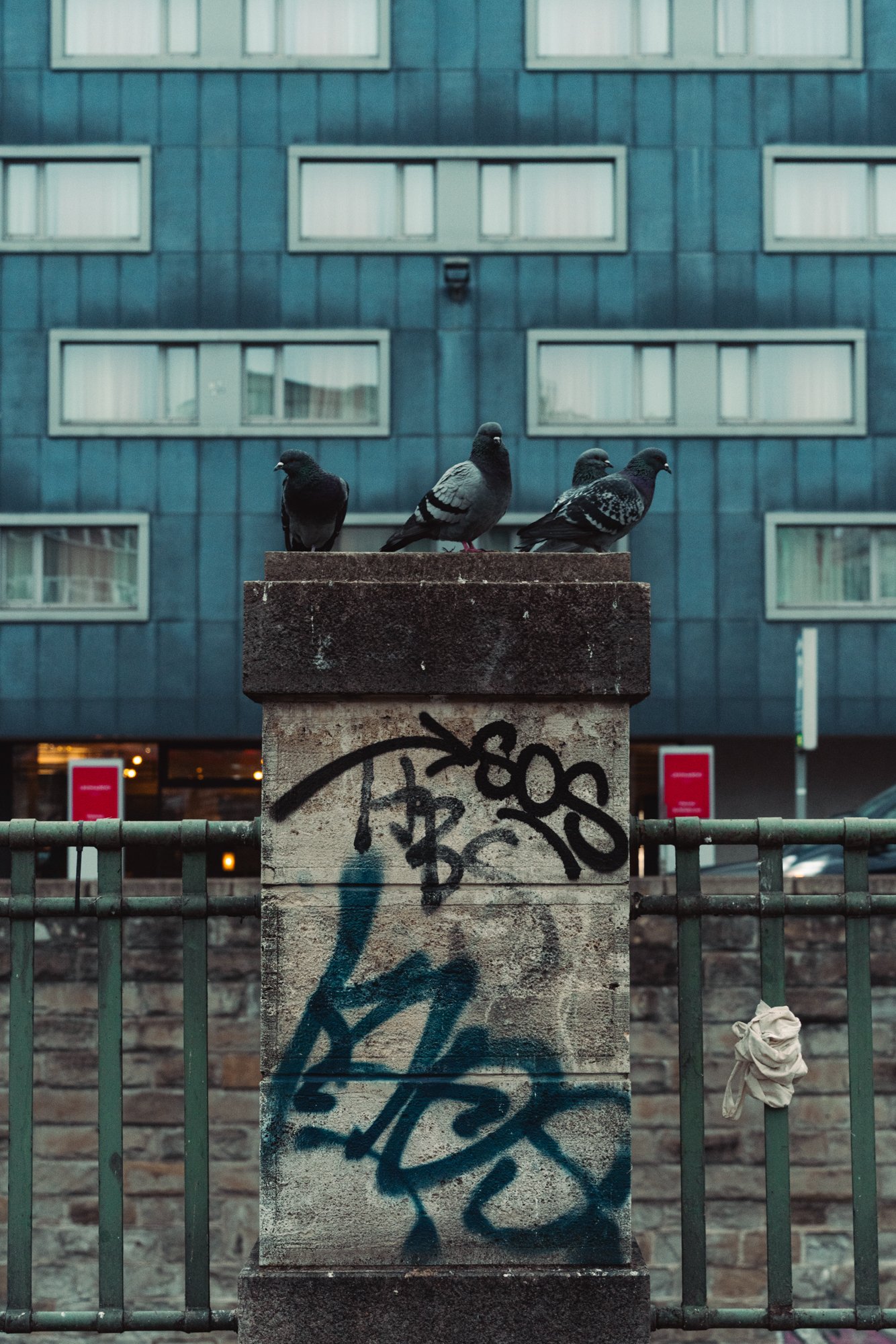 Four pigeons perched on a graffiti-covered concrete platform in an urban setting, with a blue building with rectangular windows in the background and a green metal fence in the foreground.