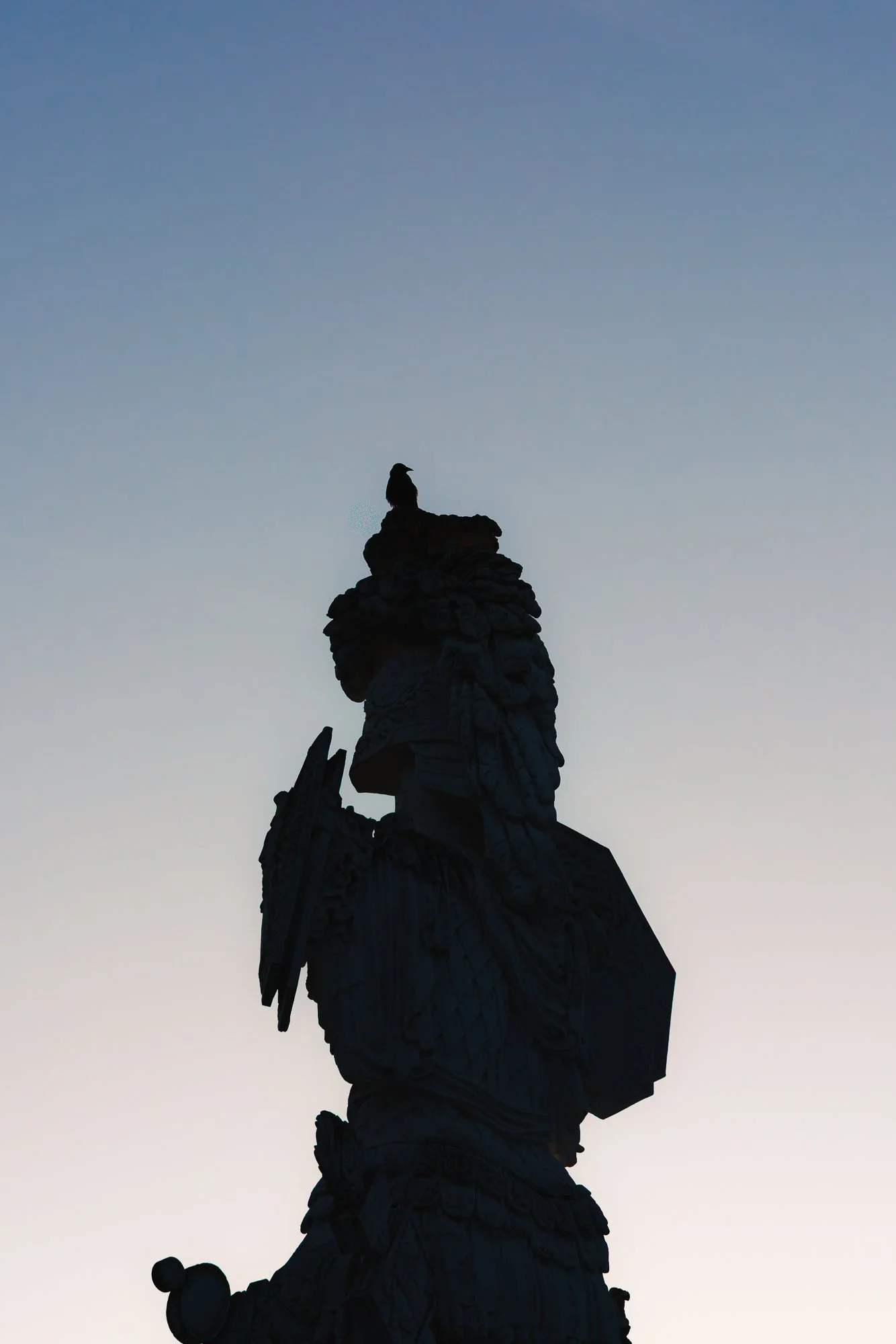 Silhouette of a bird perched on a rocky formation against a gradient sky at dusk or dawn.