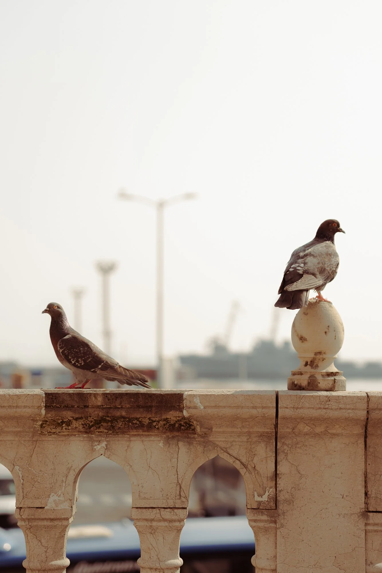 Two pigeons sitting on a stone balcony railing with a cloudy sky and streetlights in the background, during daytime.