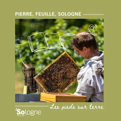 Après les premières surprises de Paul, c’est à Cécile d’organiser leur virée en Sologne.  Au programme : nuitée dans un gîte plein d’histoire, déambulation dans un petit jardin à l’anglaise et visite d’un élevage de brebis et d’abeilles solognotes. D