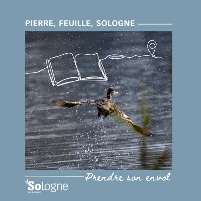 Intrigués par une petite plume d’un bleu intense qui s’est échappée de leur carnet de voyages, les deux amis prennent leur envol et partent en quête de son propriétaire. Et puis, tant qu’à lever les yeux, pourquoi ne pas carrément finir dans les étoi