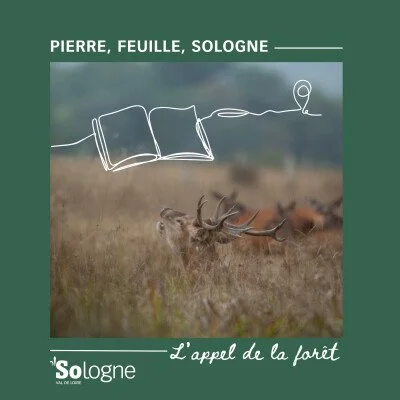 🍂 Les jours raccourcissent, les oiseaux migrateurs s’envolent, les arbres sont flamboyants… 🐦

🍁 À l’arrivée de l’automne, Paul et Cécile sont de retour en Sologne avec un rêve : entendre le fameux brame du cerf ! 🦌

🔎 Les étapes et rencontres d