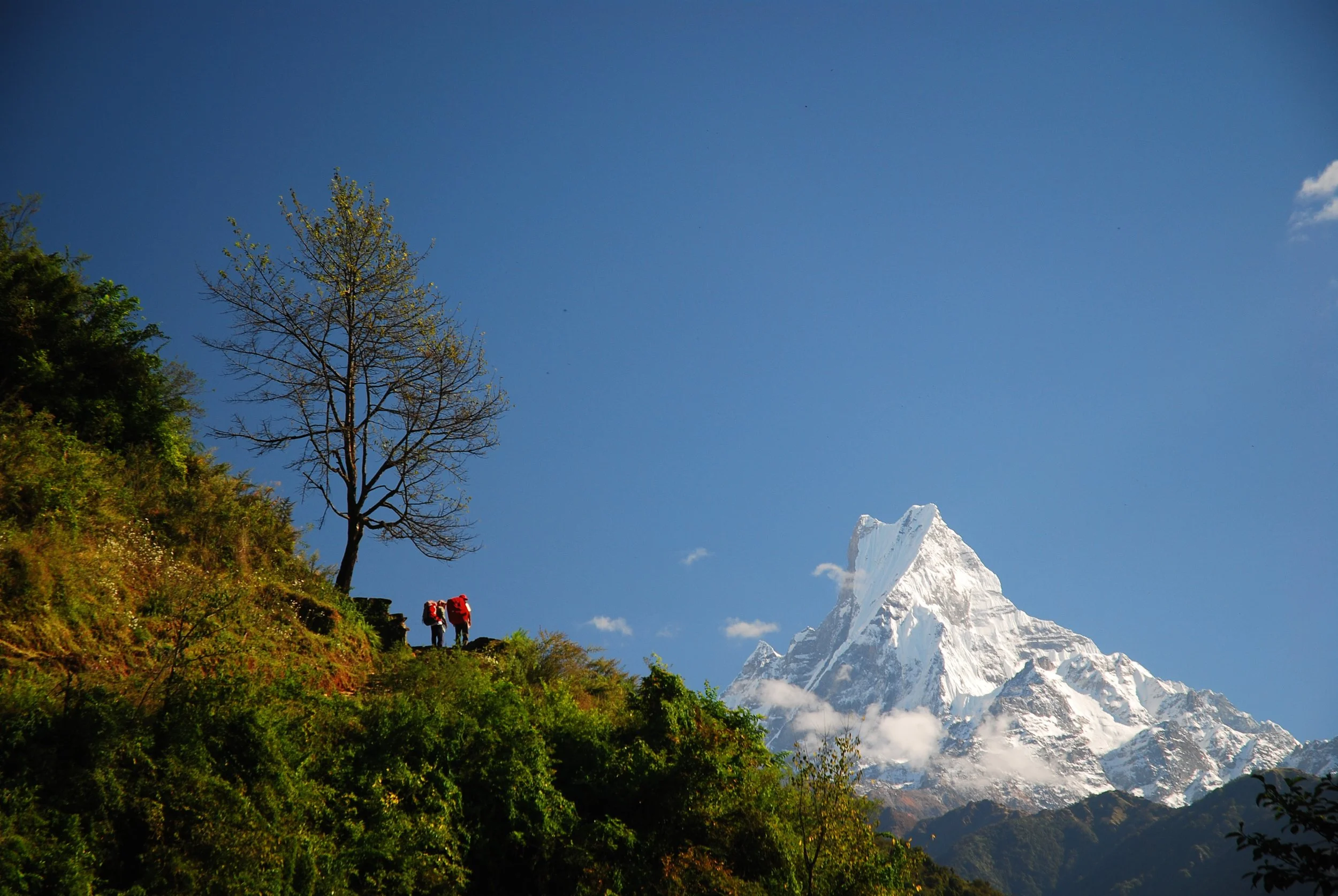Two hikers with backpacks walking on a hillside overlooking a snow-capped mountain peak with a clear blue sky.