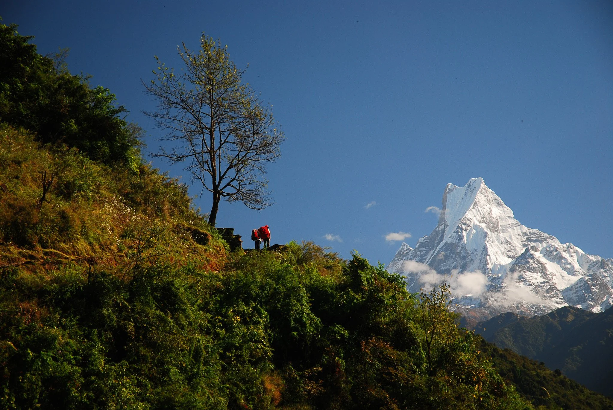 View of Machhapuchhare on a trek to Annapurna Base Camp in Nepal