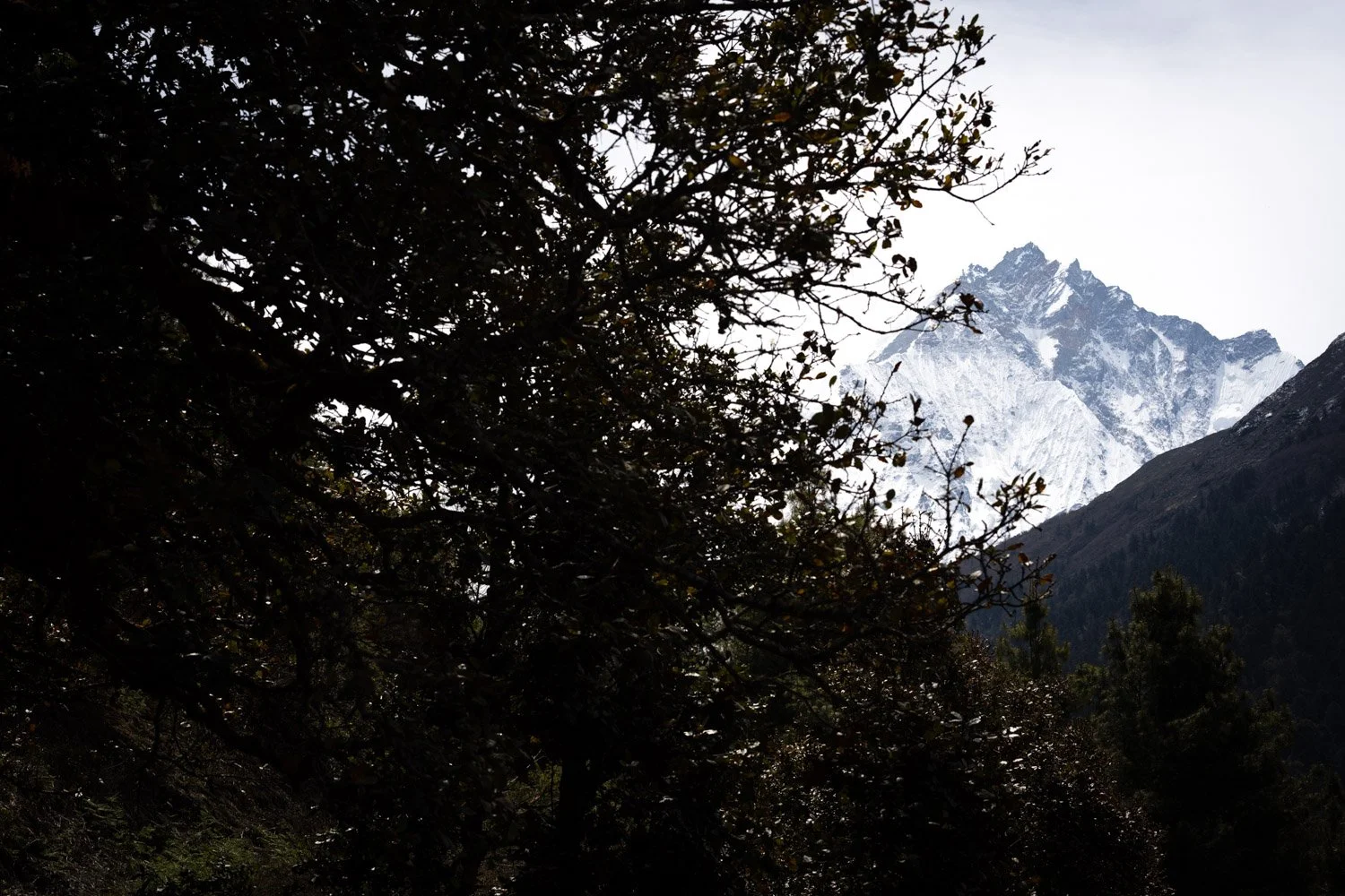 Ganesh Himal en route to Gumba Lungdang  in Nepal's Tsum Valley