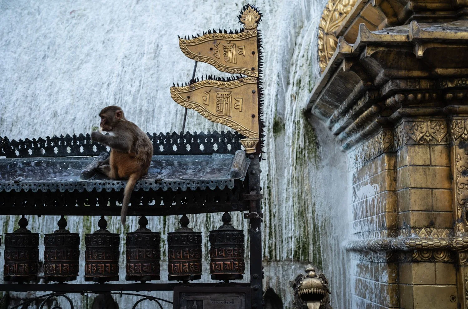 Monkey at the base of the Swayambhunath stupa at Kathmandu's Monkey Temple