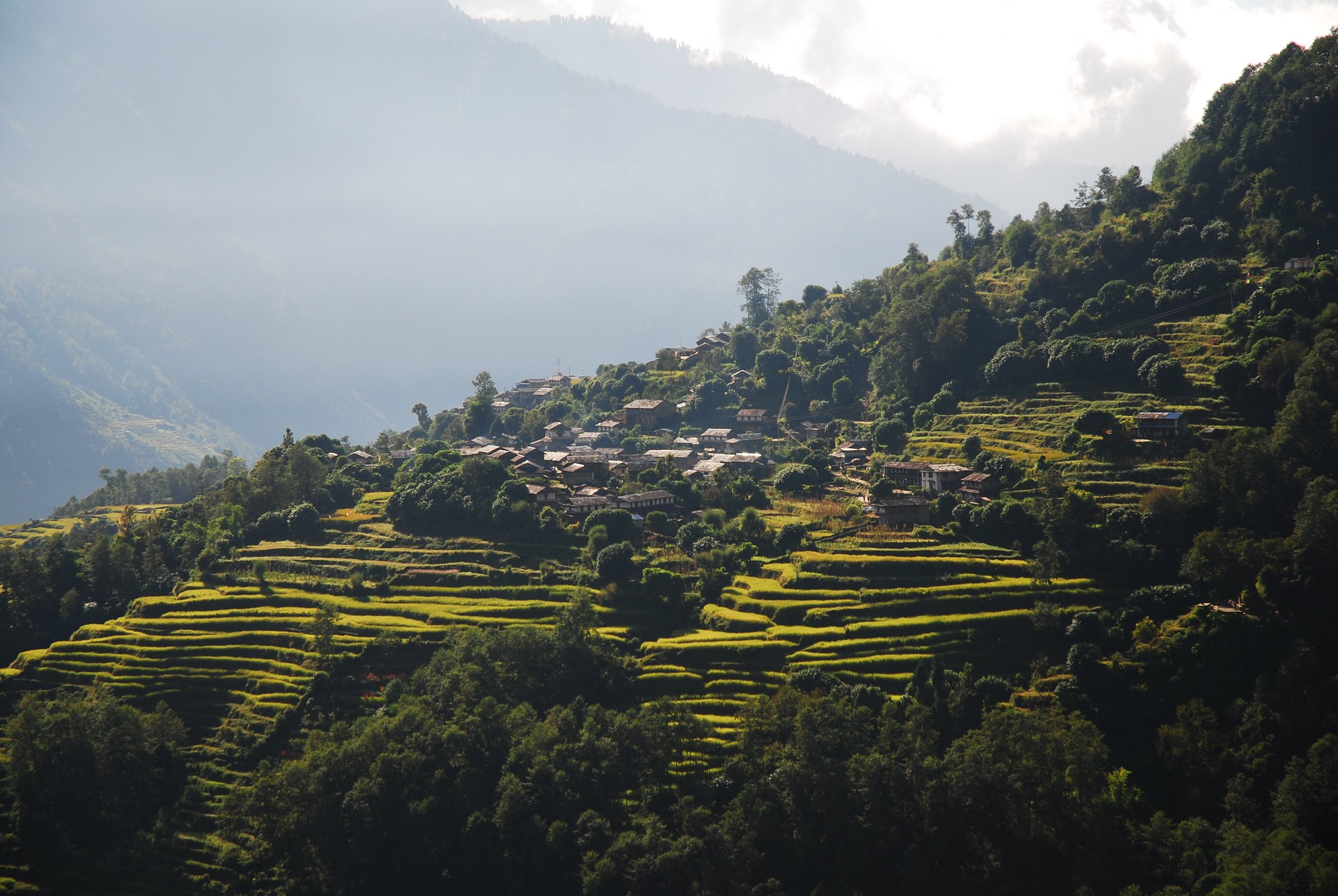 Terraced fields in the foothills of the Annapurna mountain range in Nepal