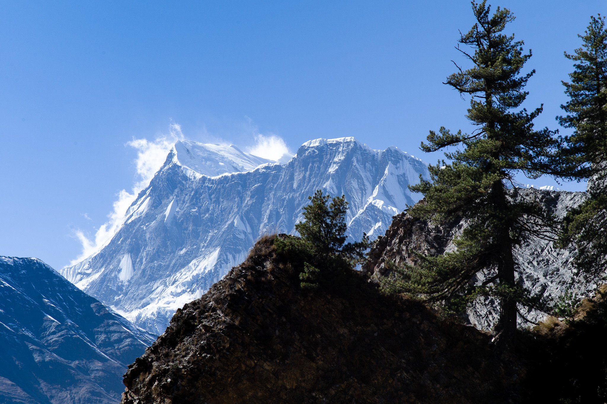 Snow-capped mountain peaks with a pine tree on a rocky hillside in the foreground under a clear blue sky.